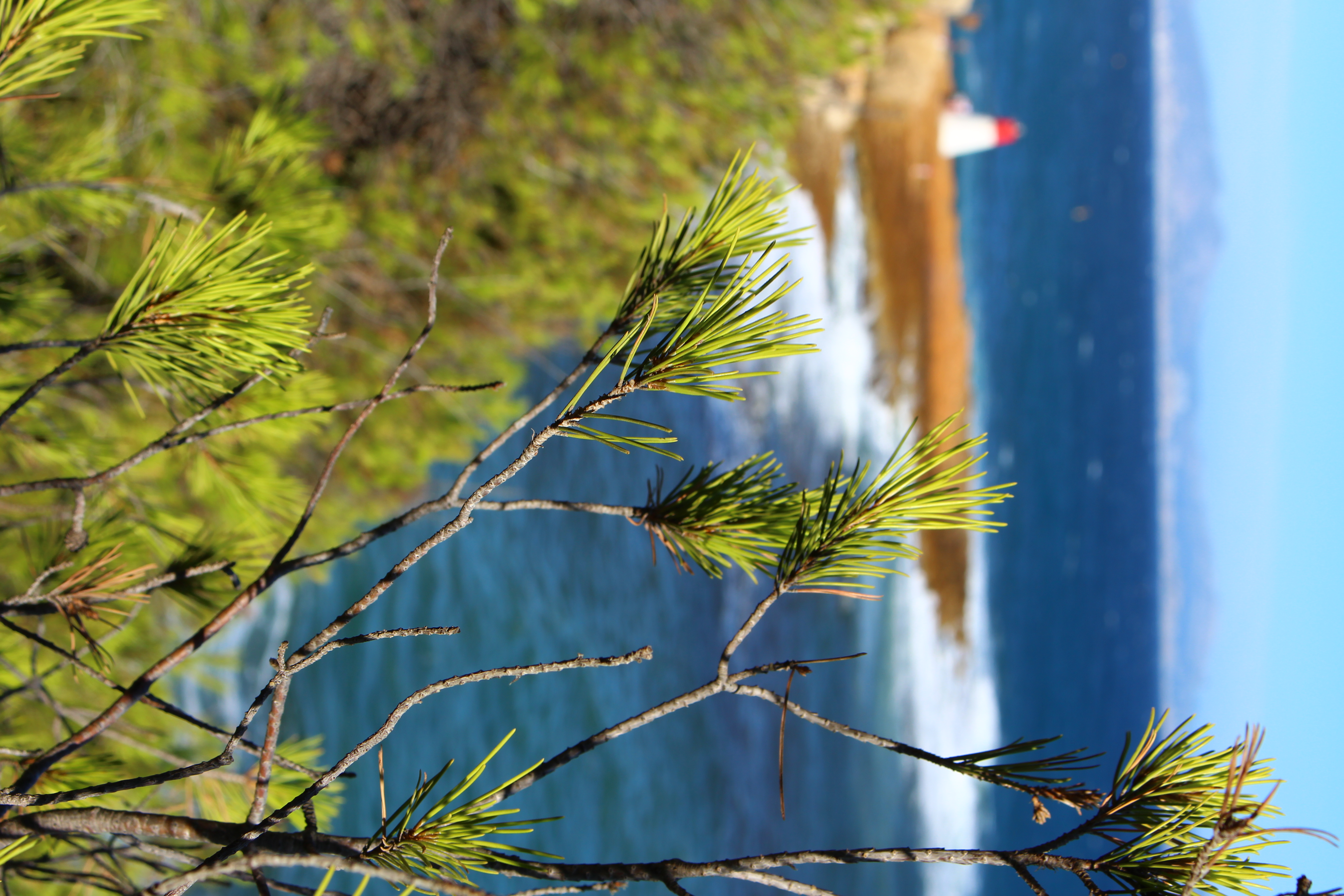 het-kijkgat-door-de-bomen