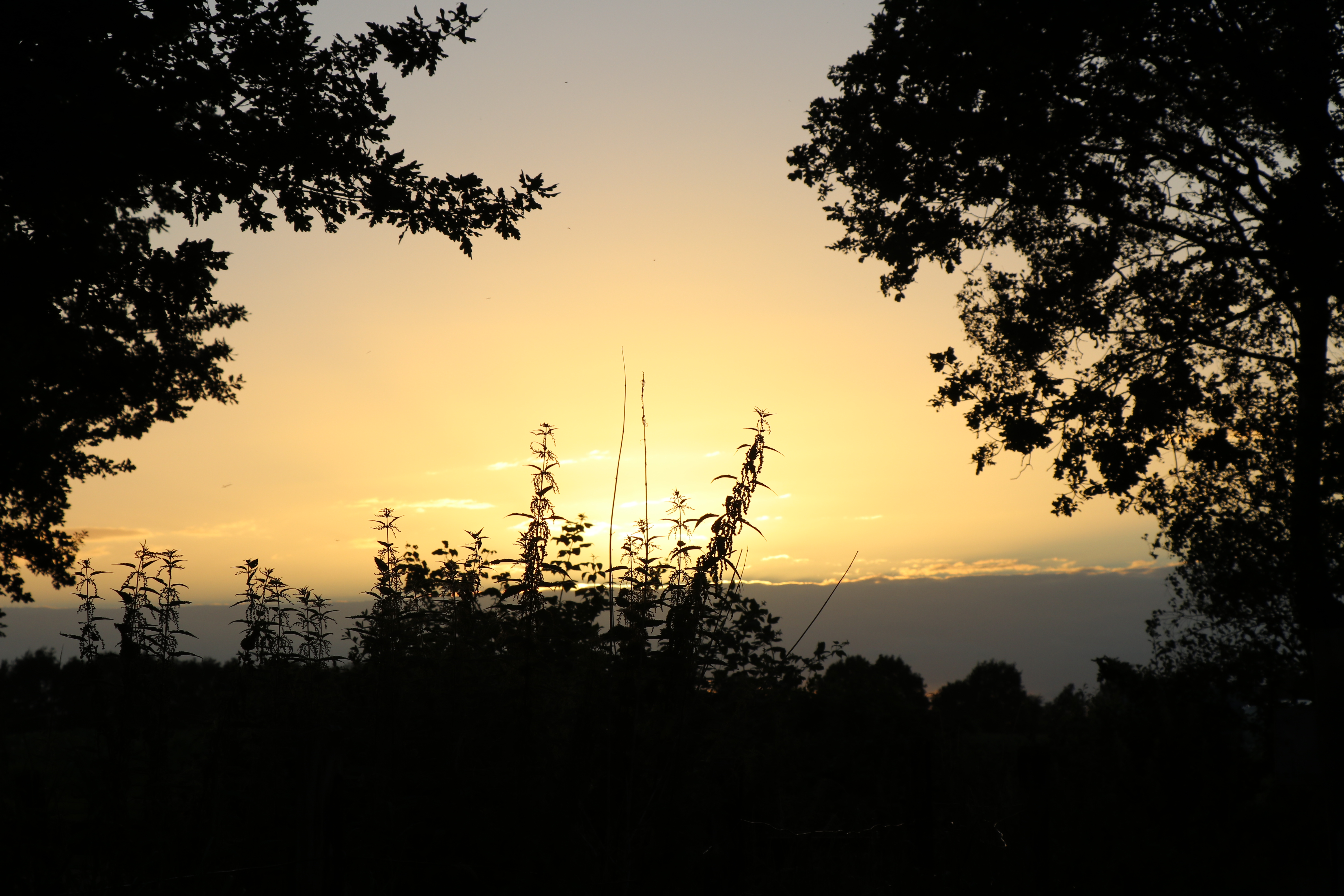 zonsondergang-in-drenthe