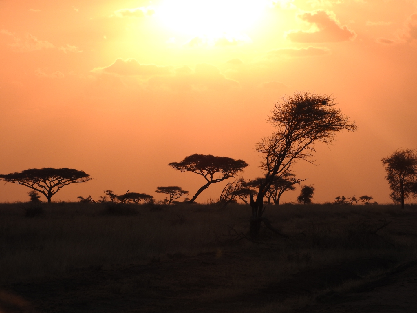 zonsondergang-tanzania