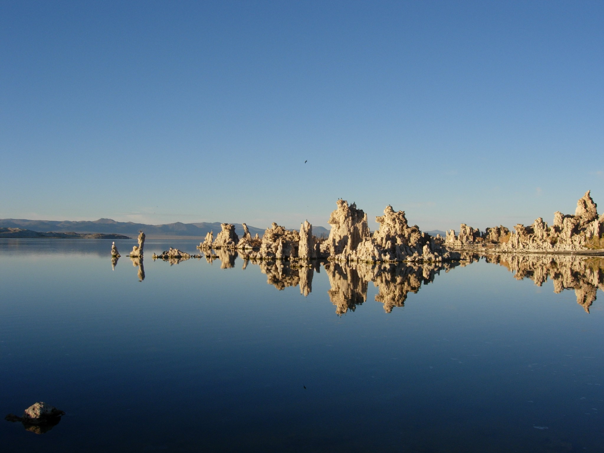 de-wereld-op-zn-kop-1