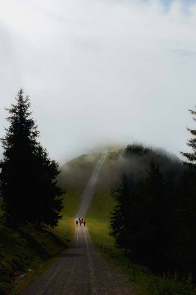 wandelen-naar-de-mist