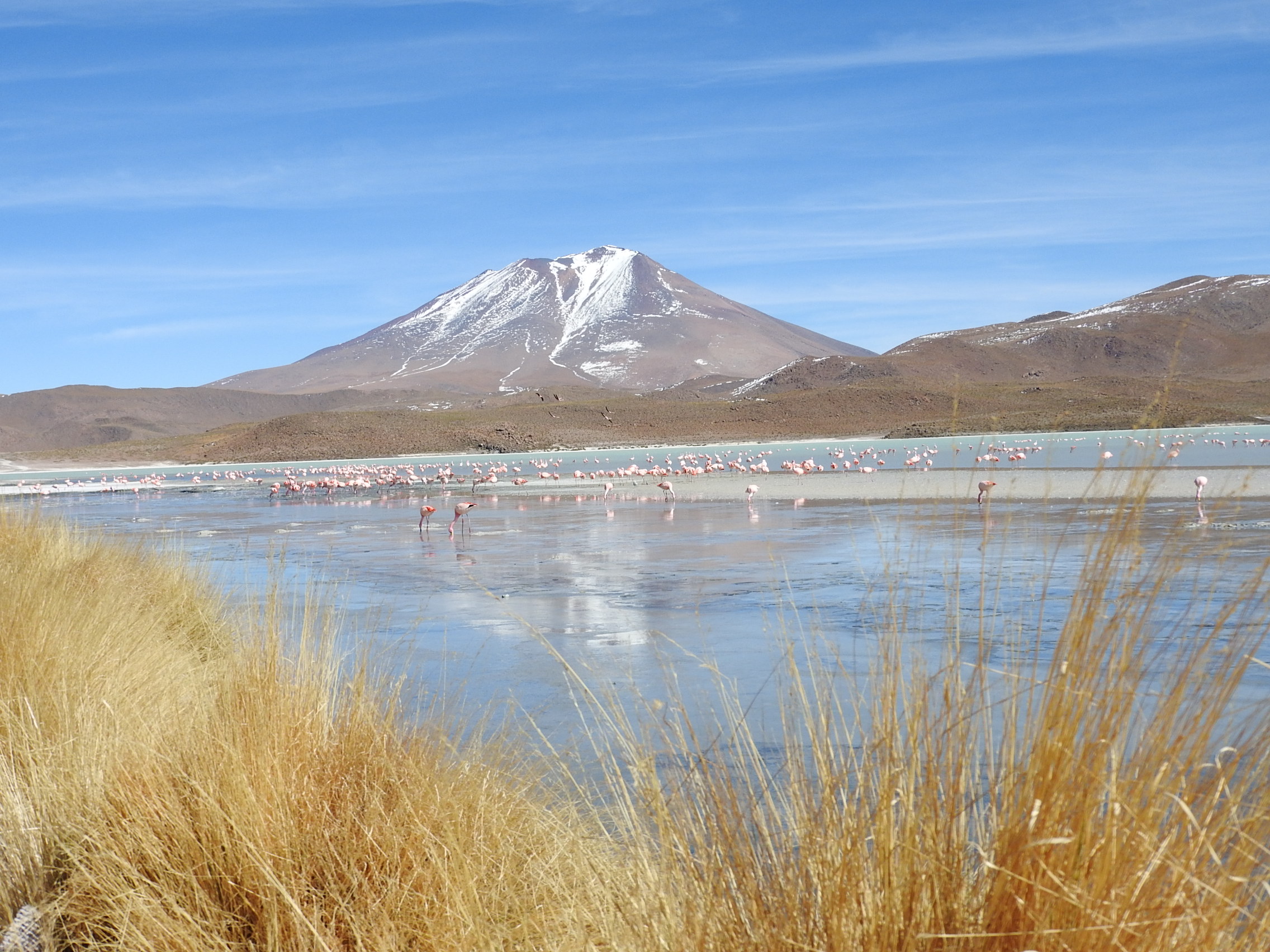 reflecting-laguna-bolivia