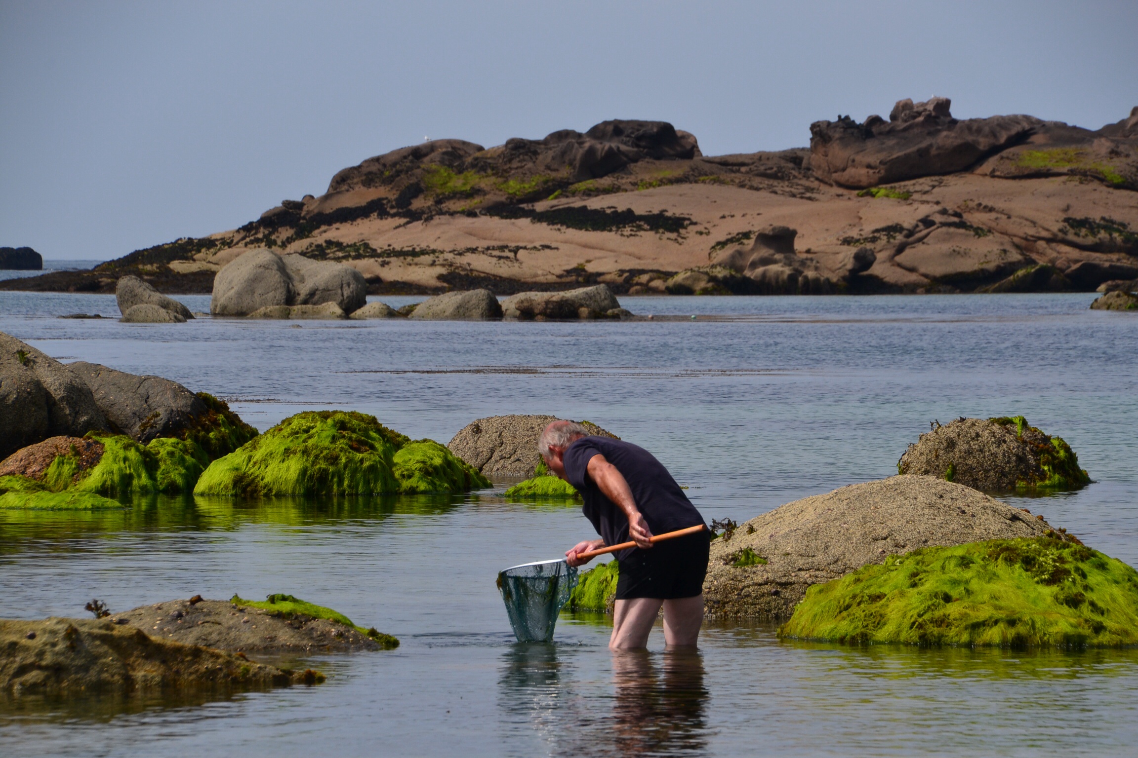 visser-in-bretagne