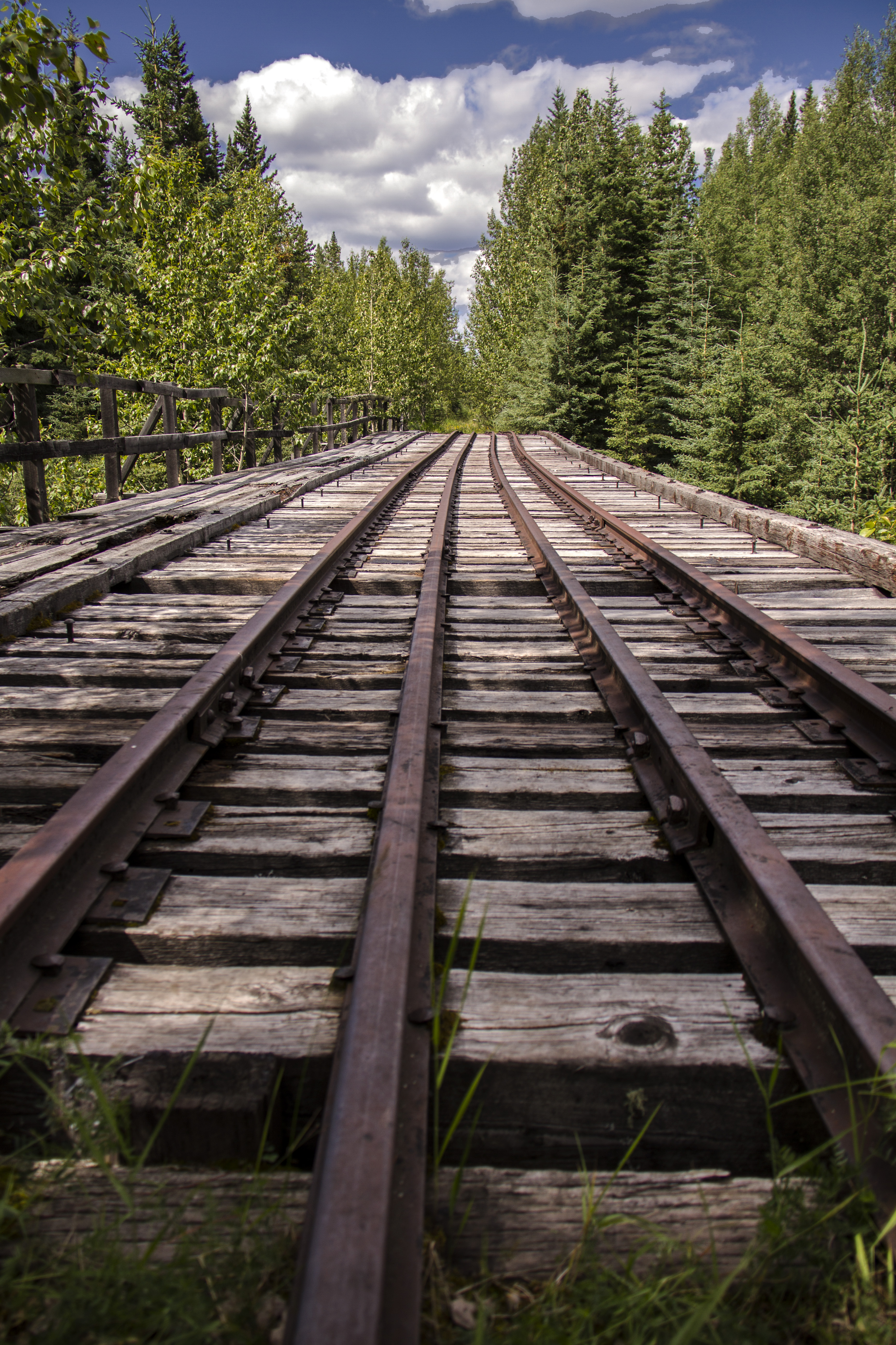 canada-kootenay-plains-nordegg-road