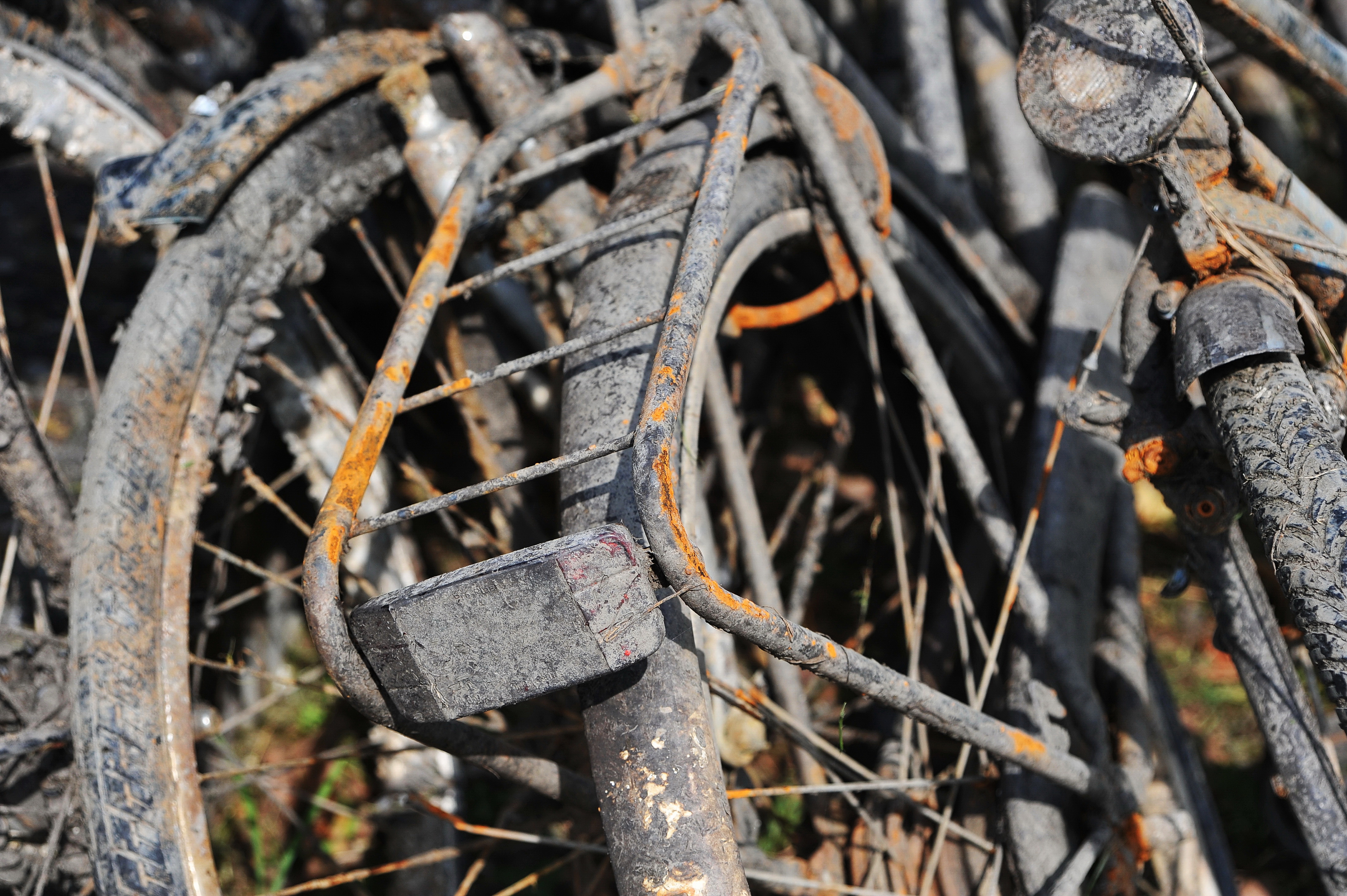 en-schoon-was-de-gracht-zomer2017-bolsward