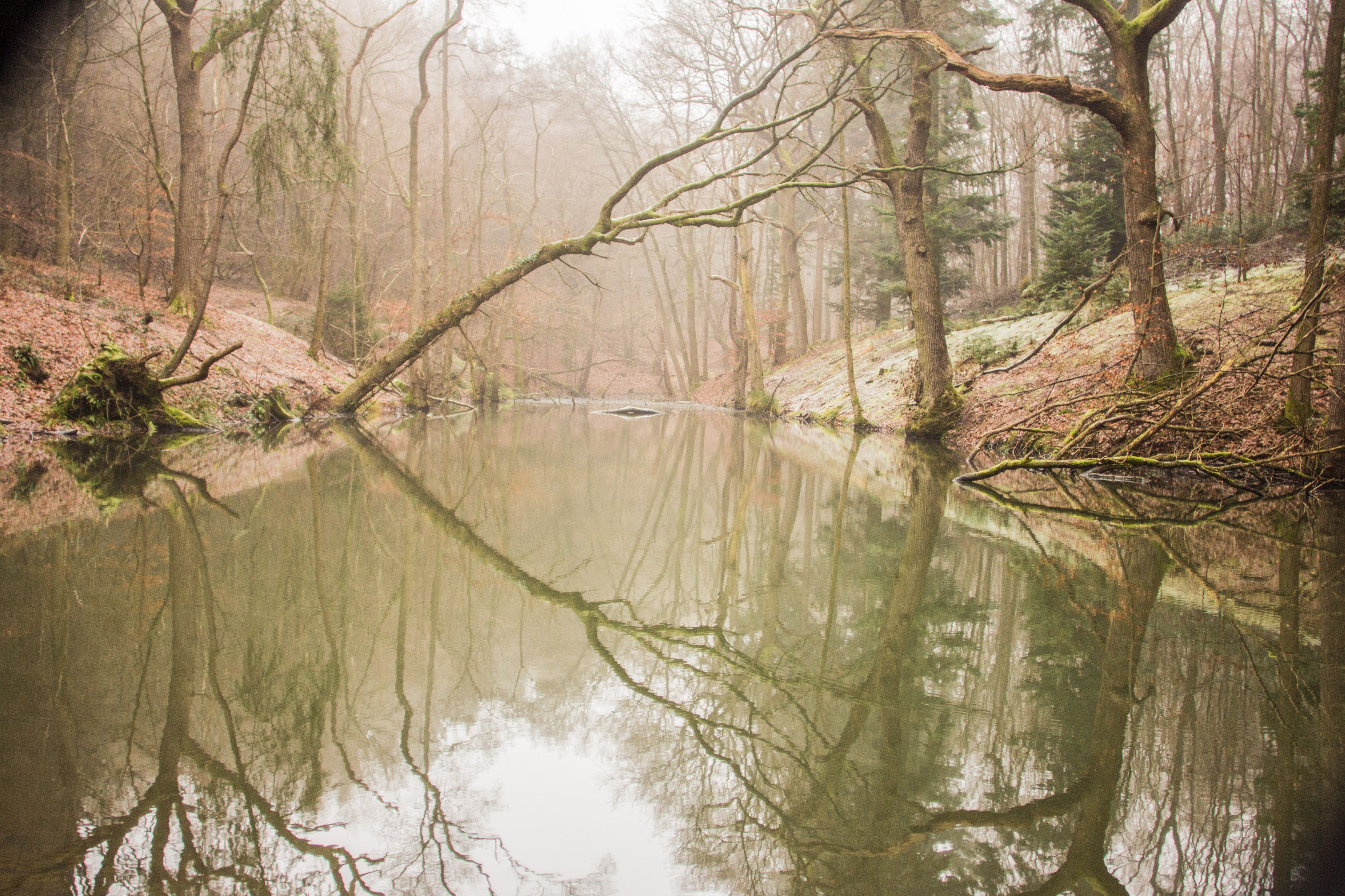 winter-in-nederland-2