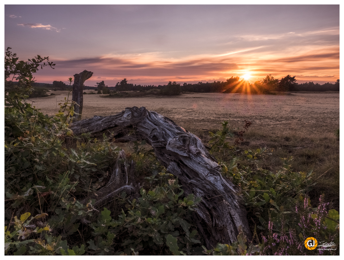 zonsondergang-op-t-rozendaalsezand