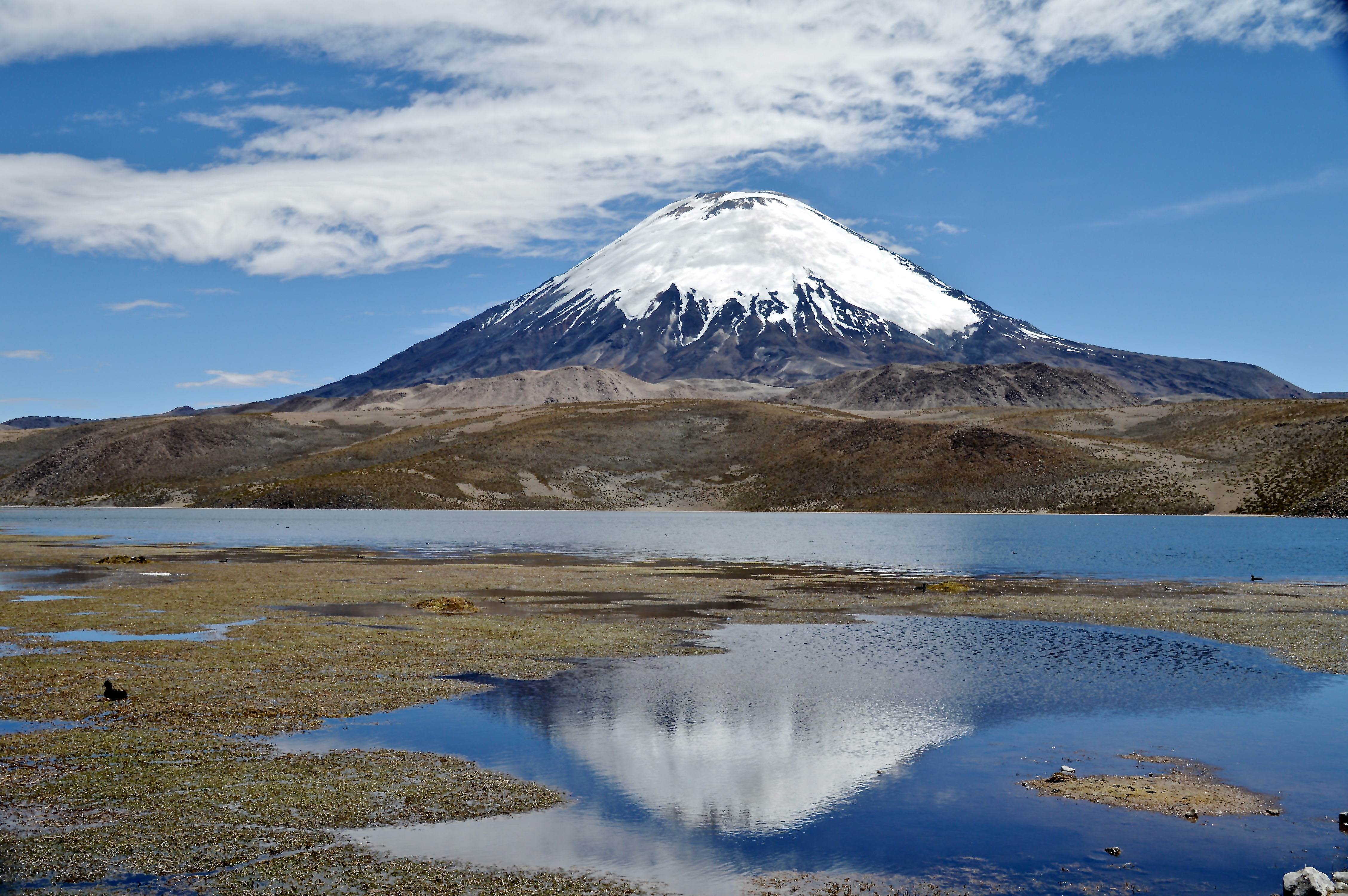 parinacota-vulkaan-in-chili