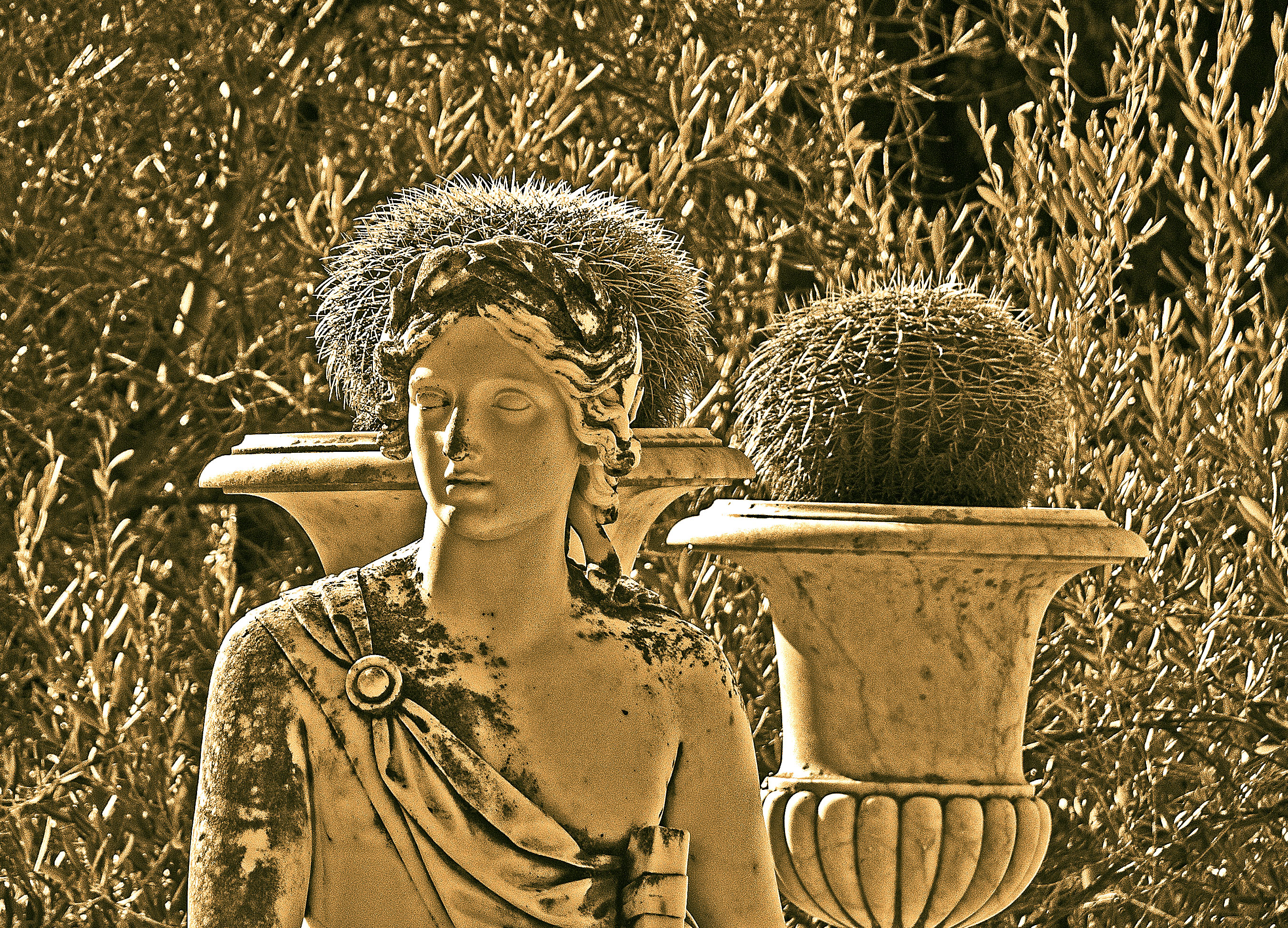 grieks-voor-beginners