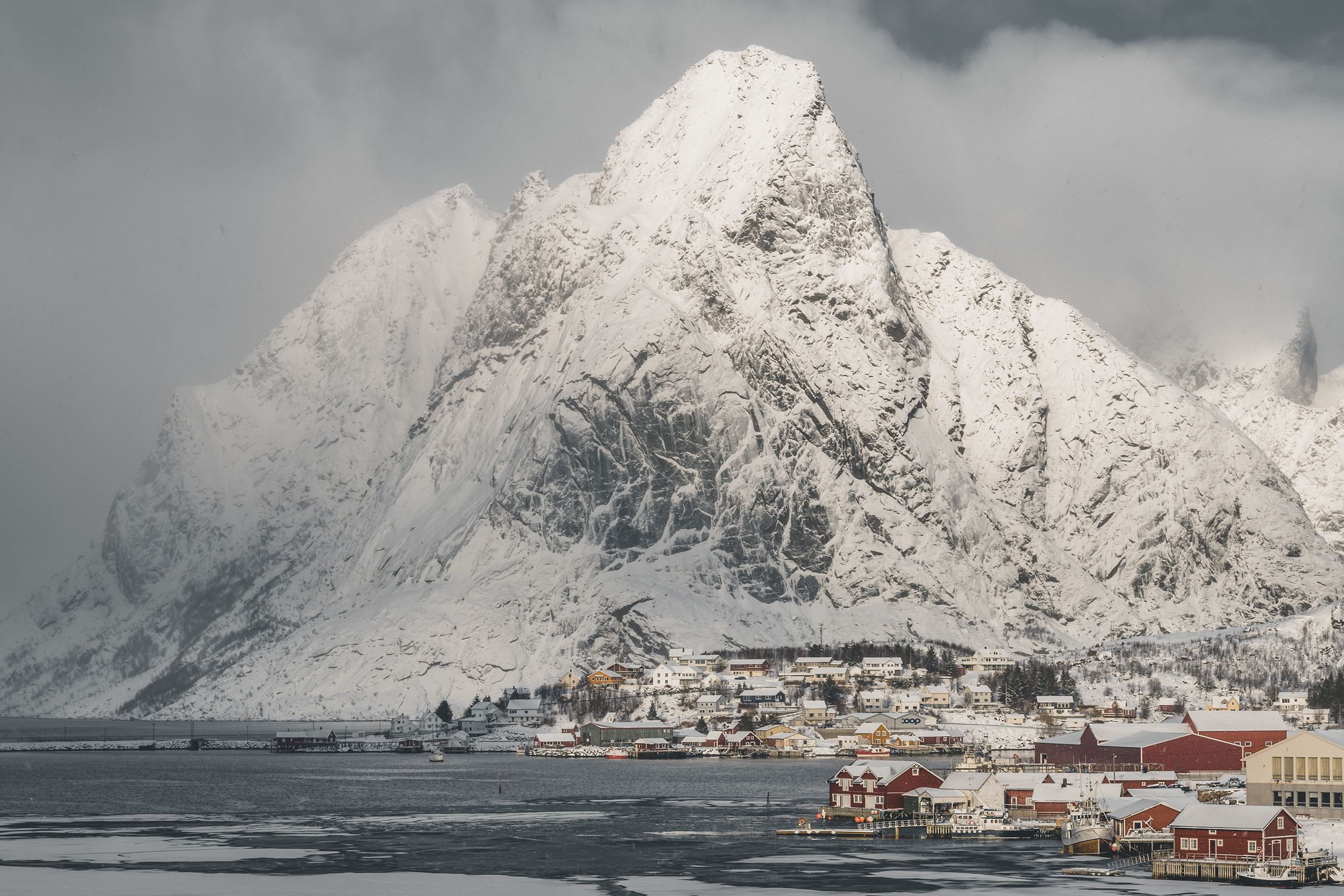 reine