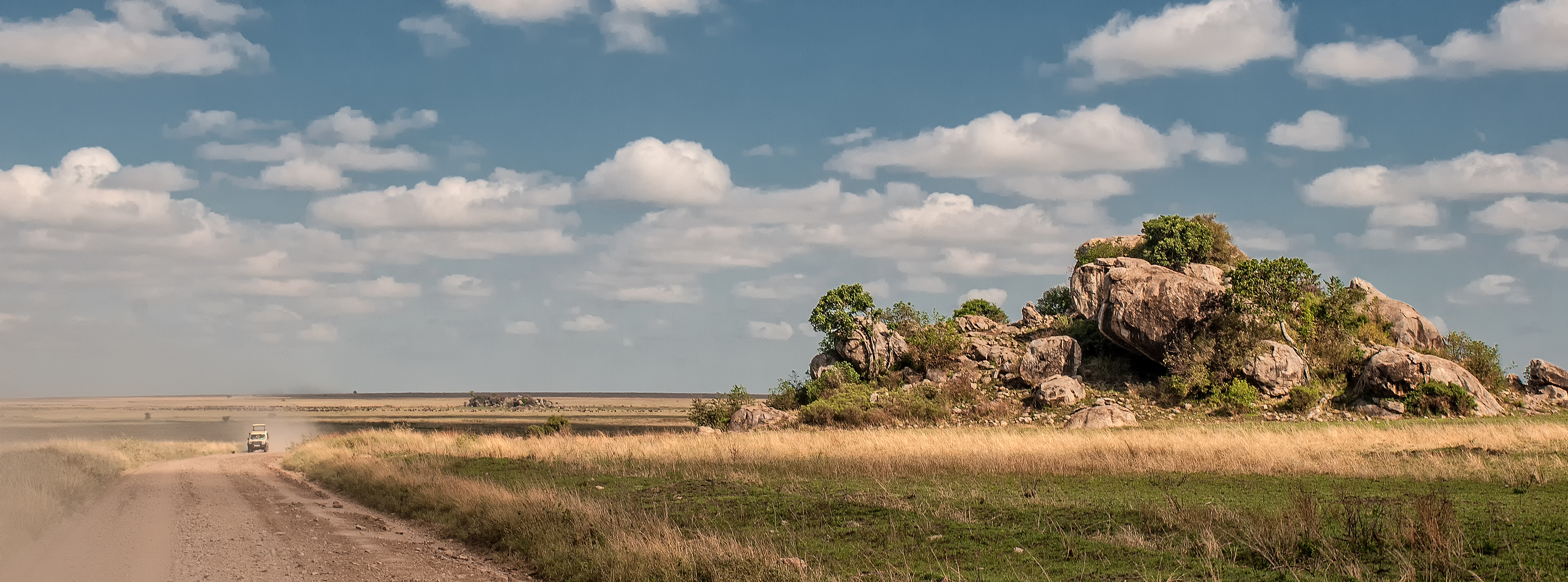 op-safari-in-de-serengeti-tanzania