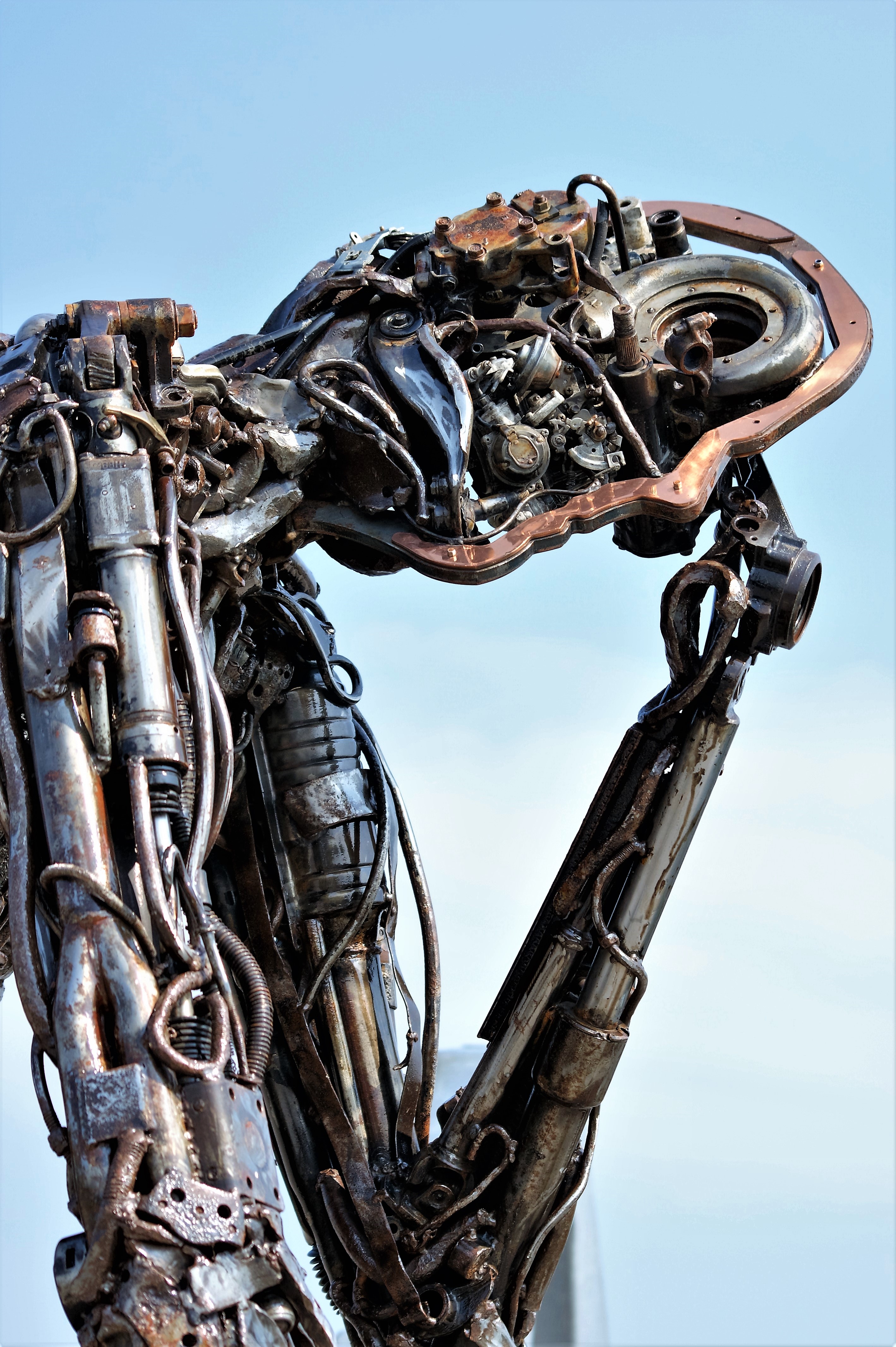 zuchtik-moet-nodig-op-reis