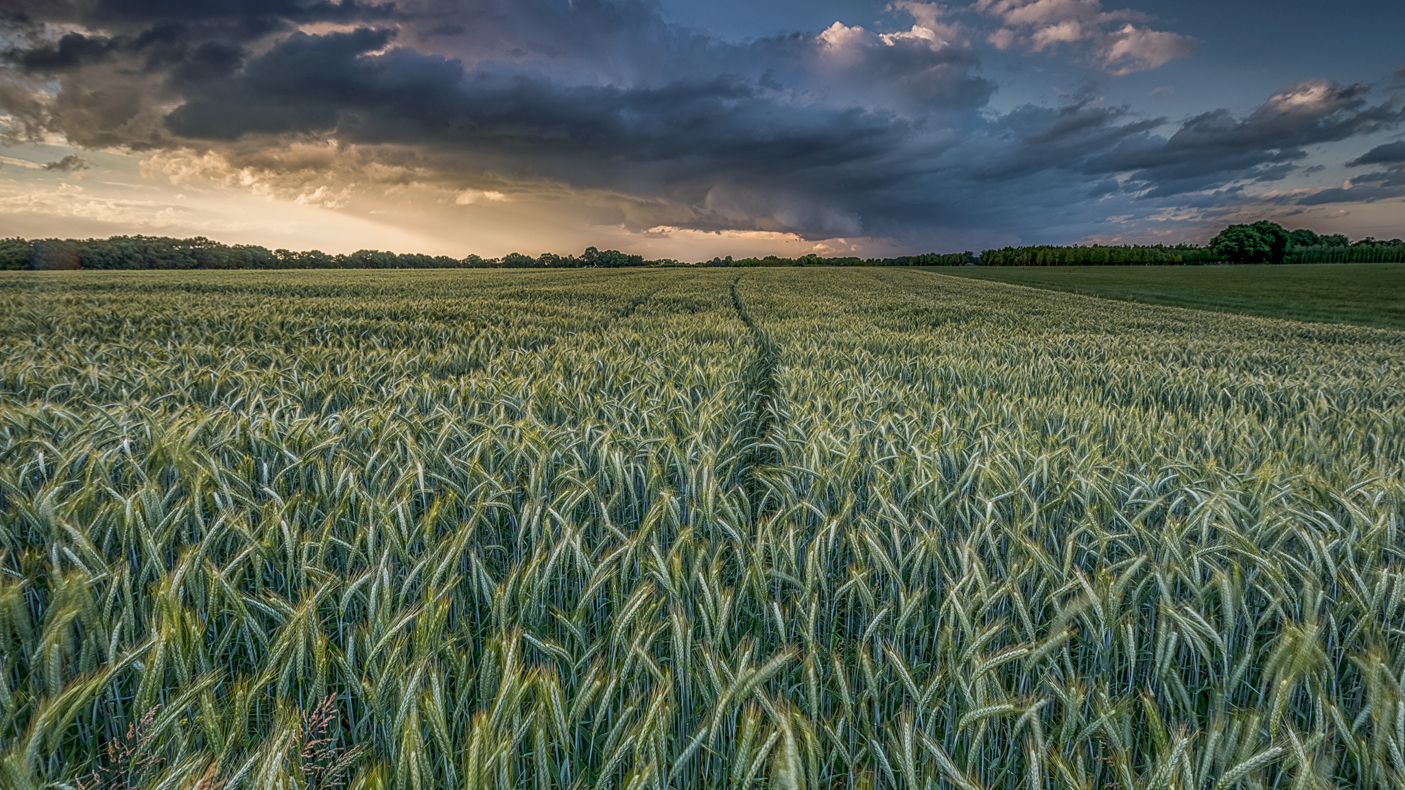 bad-weather-is-coming