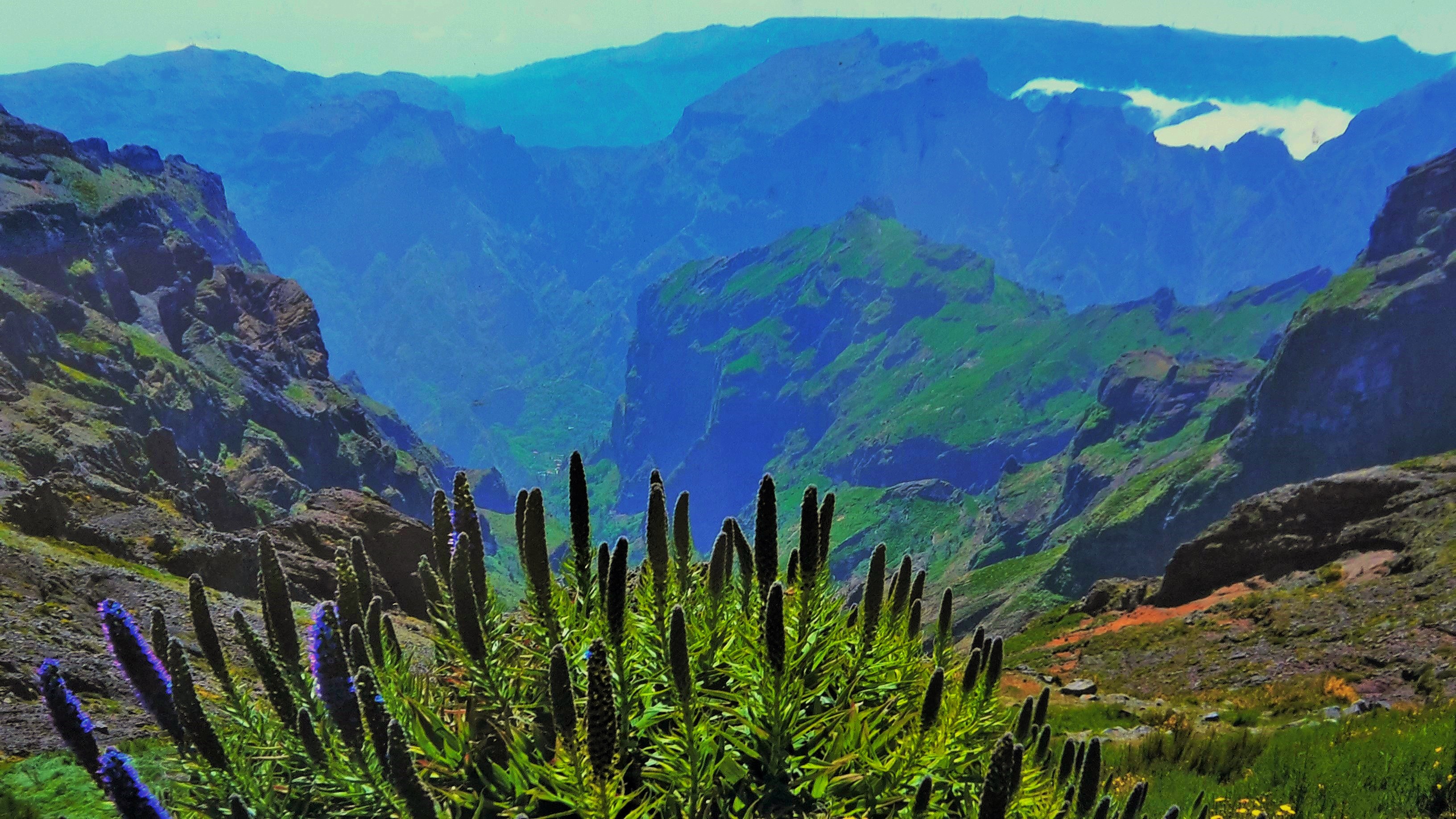 madeira-porto-moniz-gemaakt-op-21-7-2017