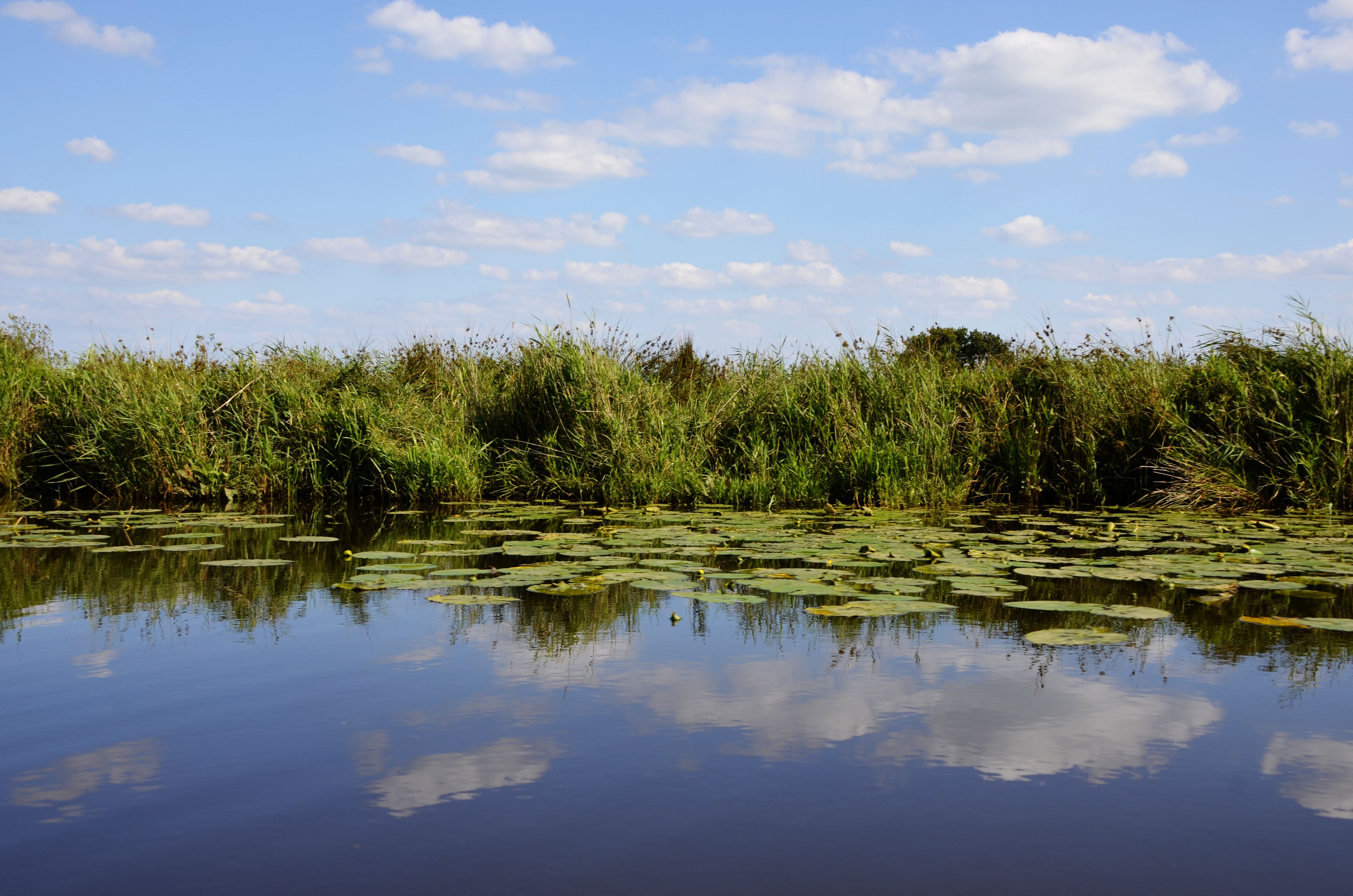 weerspiegeling-in-het-water-1