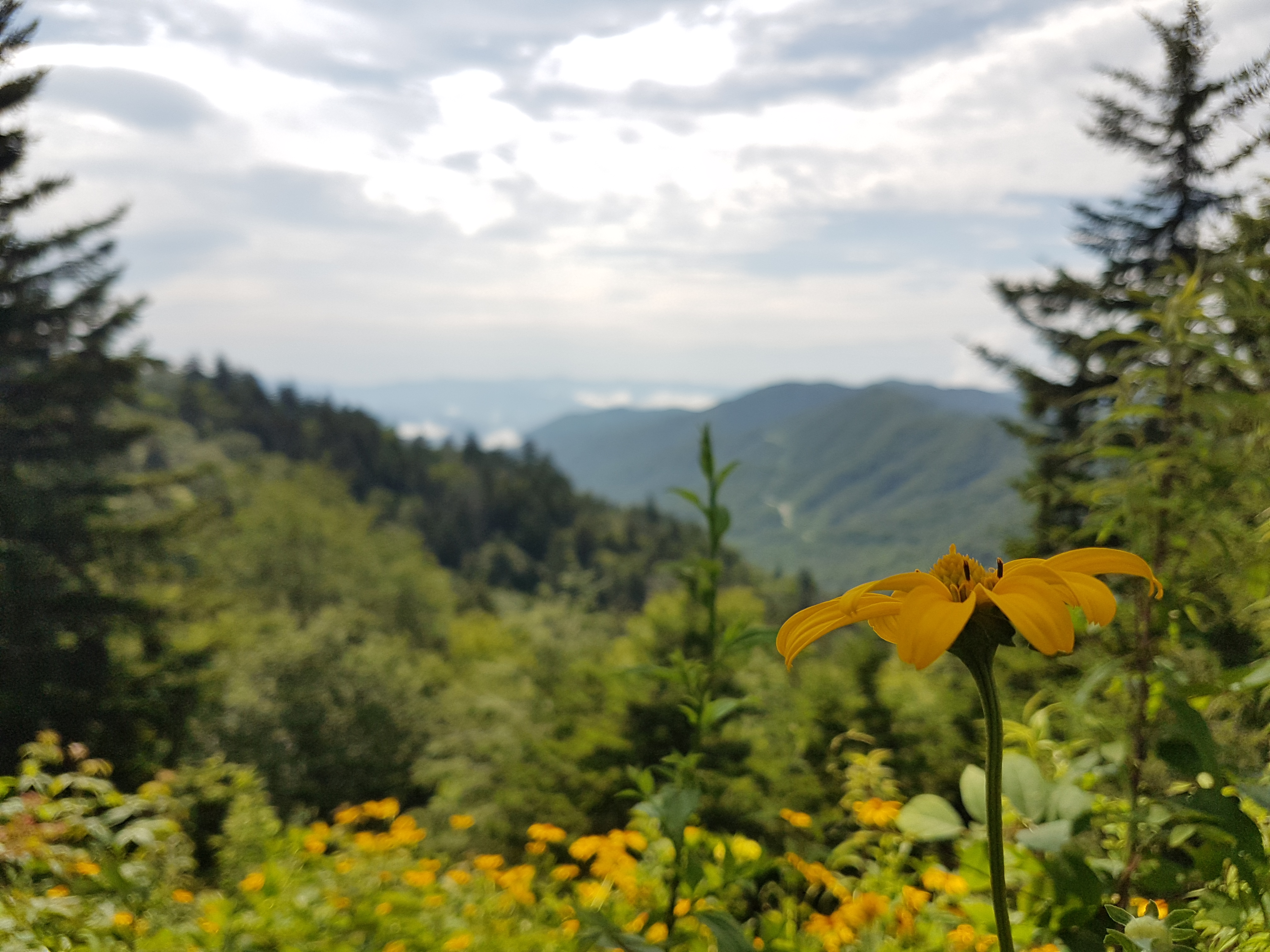 great-smoky-mountains