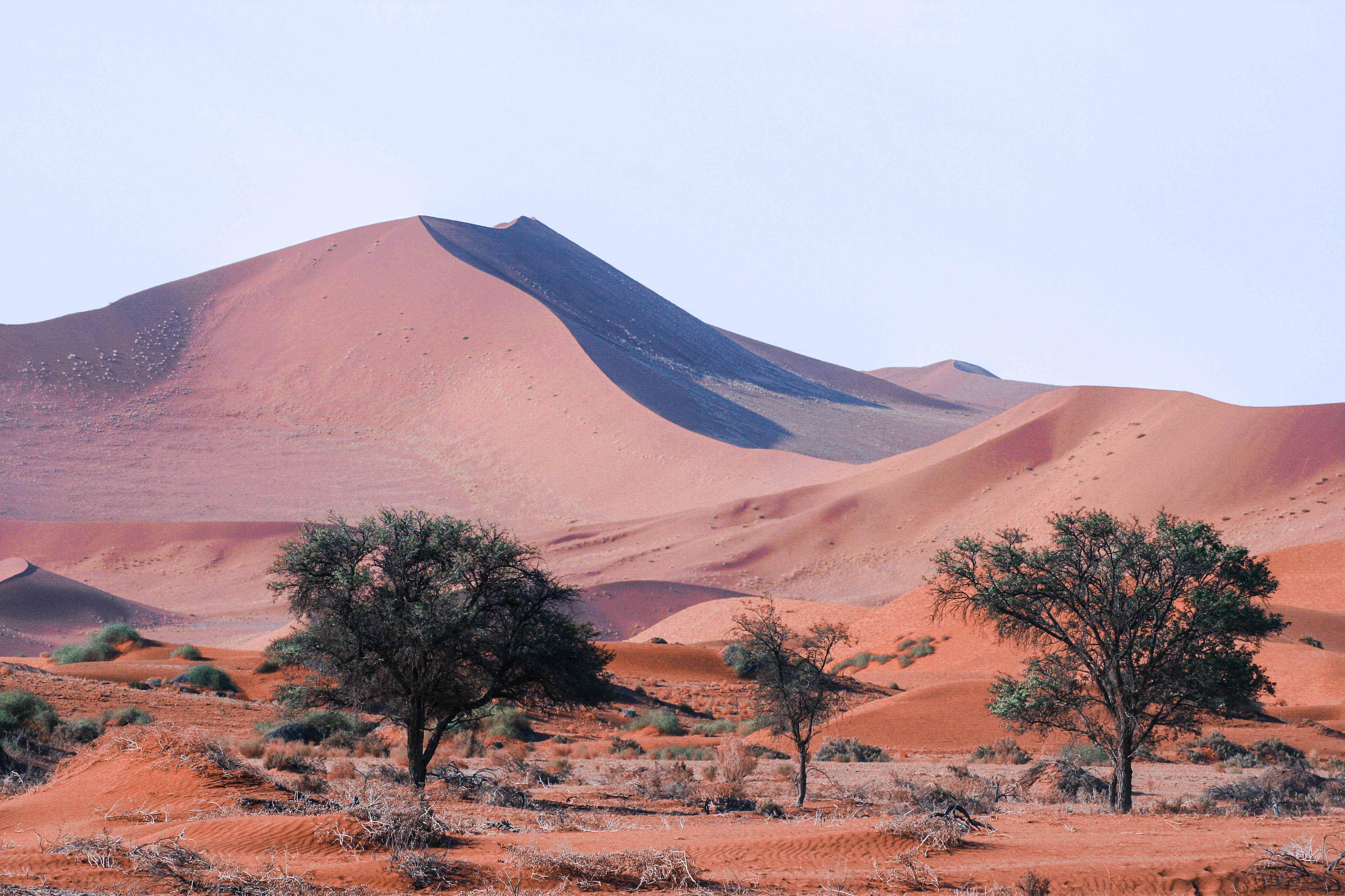sossusvlei-namibi%C3%AB-2
