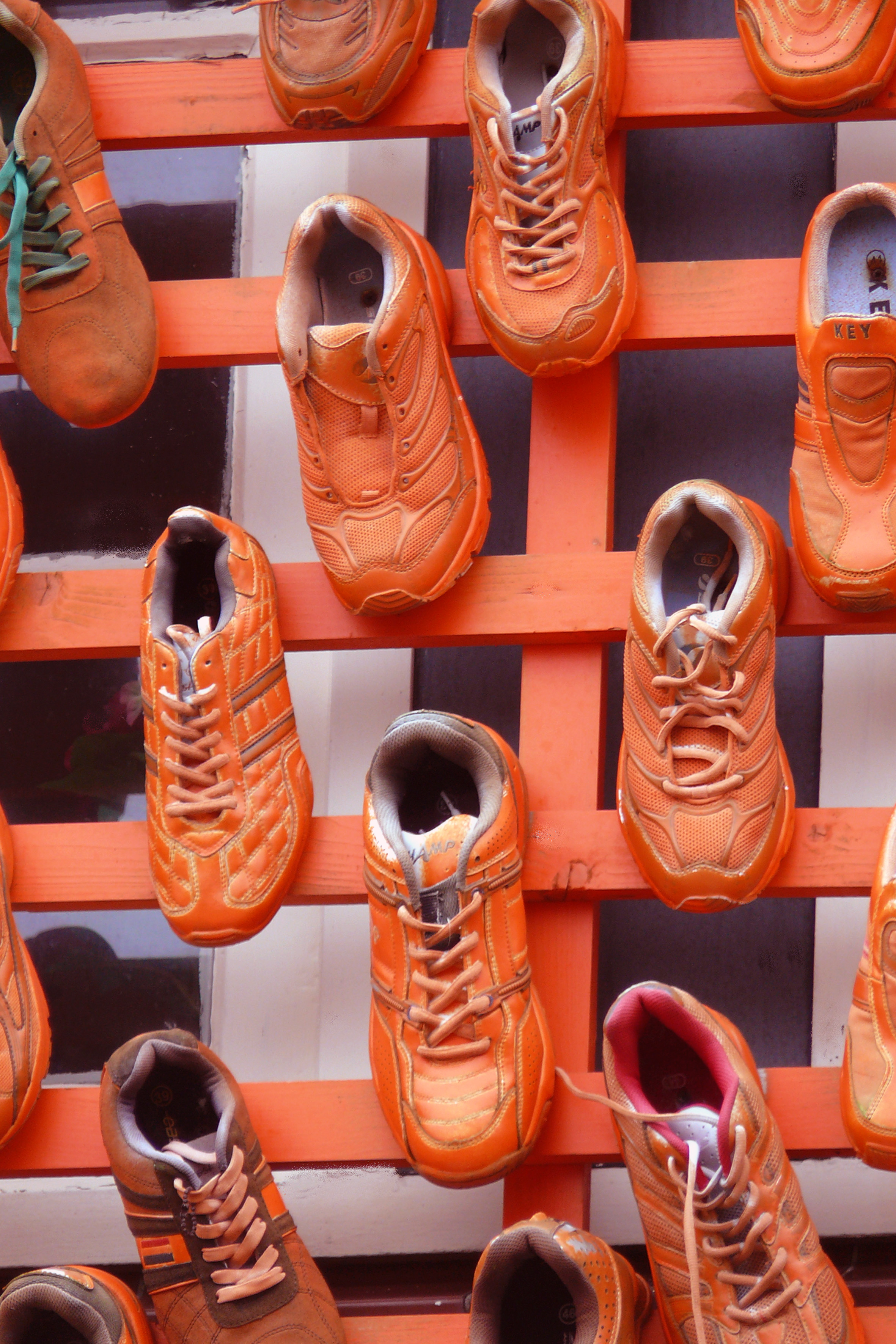 we-houden-van-oranje