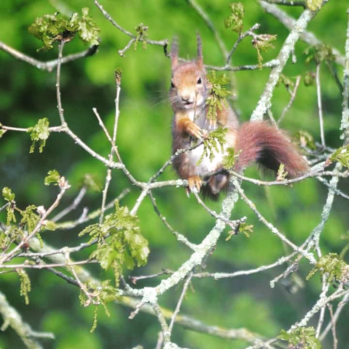 nieuwsgierige-natuur