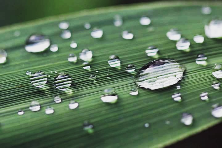 druppels-op-een-koele-plaats