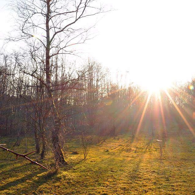 gouden-uurtje-voor-een-berk
