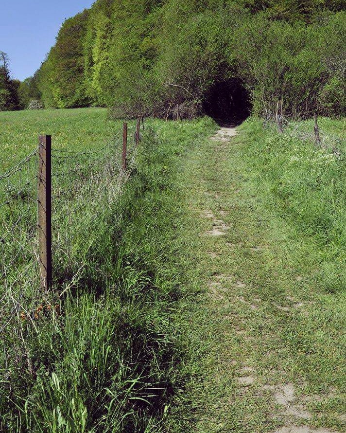 hobbithol-in-het-bos