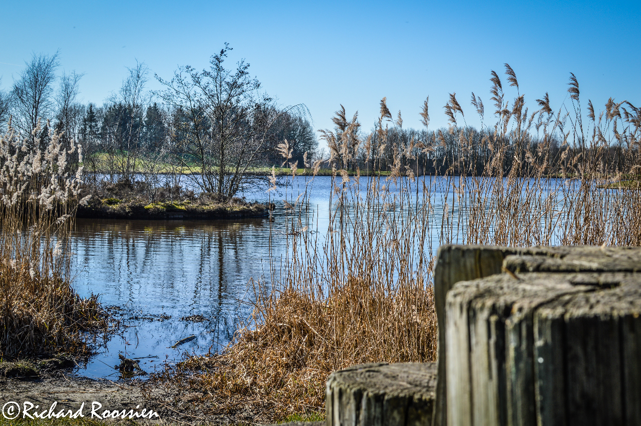 peerdewaske-veendam-0