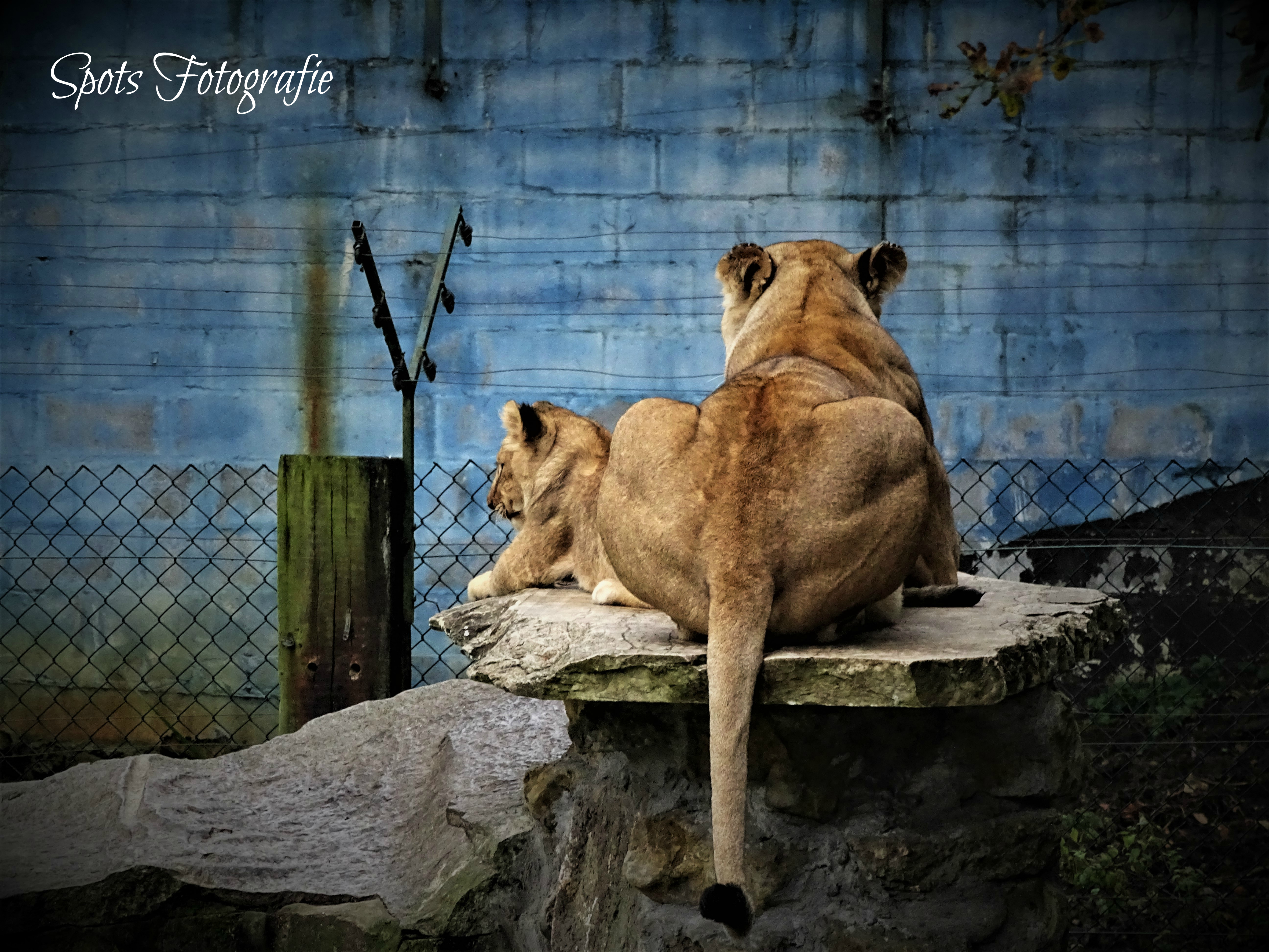 sadness-power-and-family-in-one