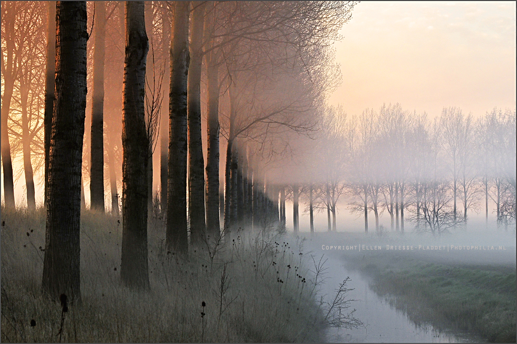 early-morning-5