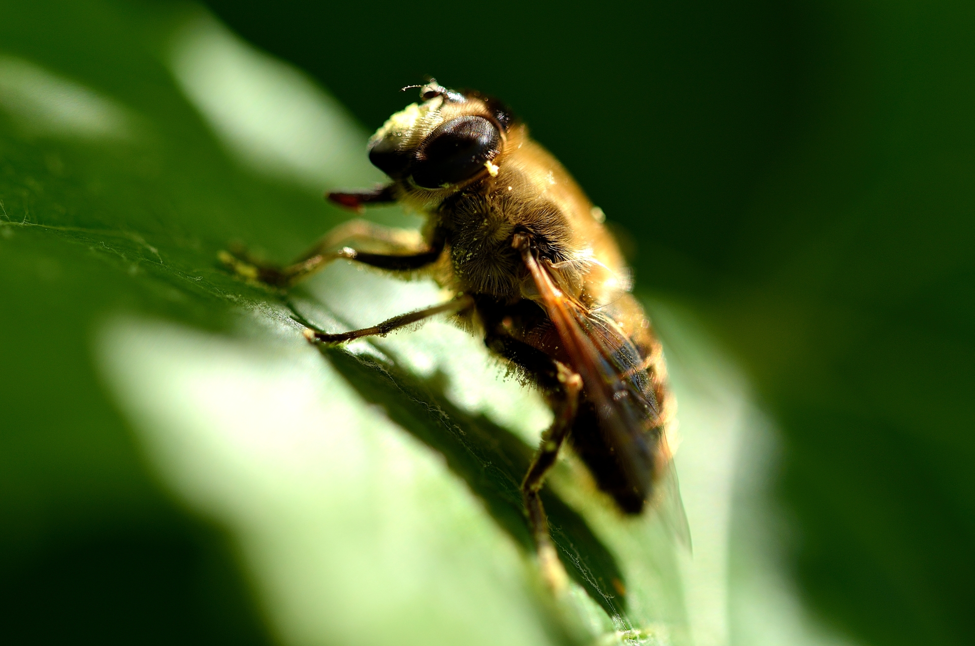 veel-vliegen-vandaag