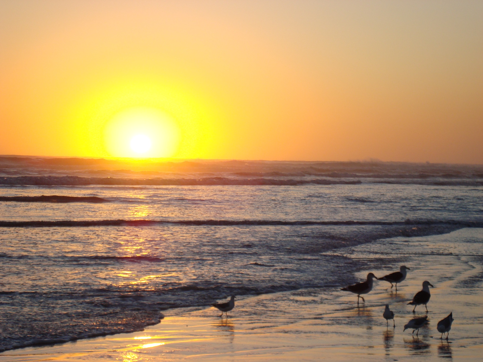 sunset-bloubergstrand