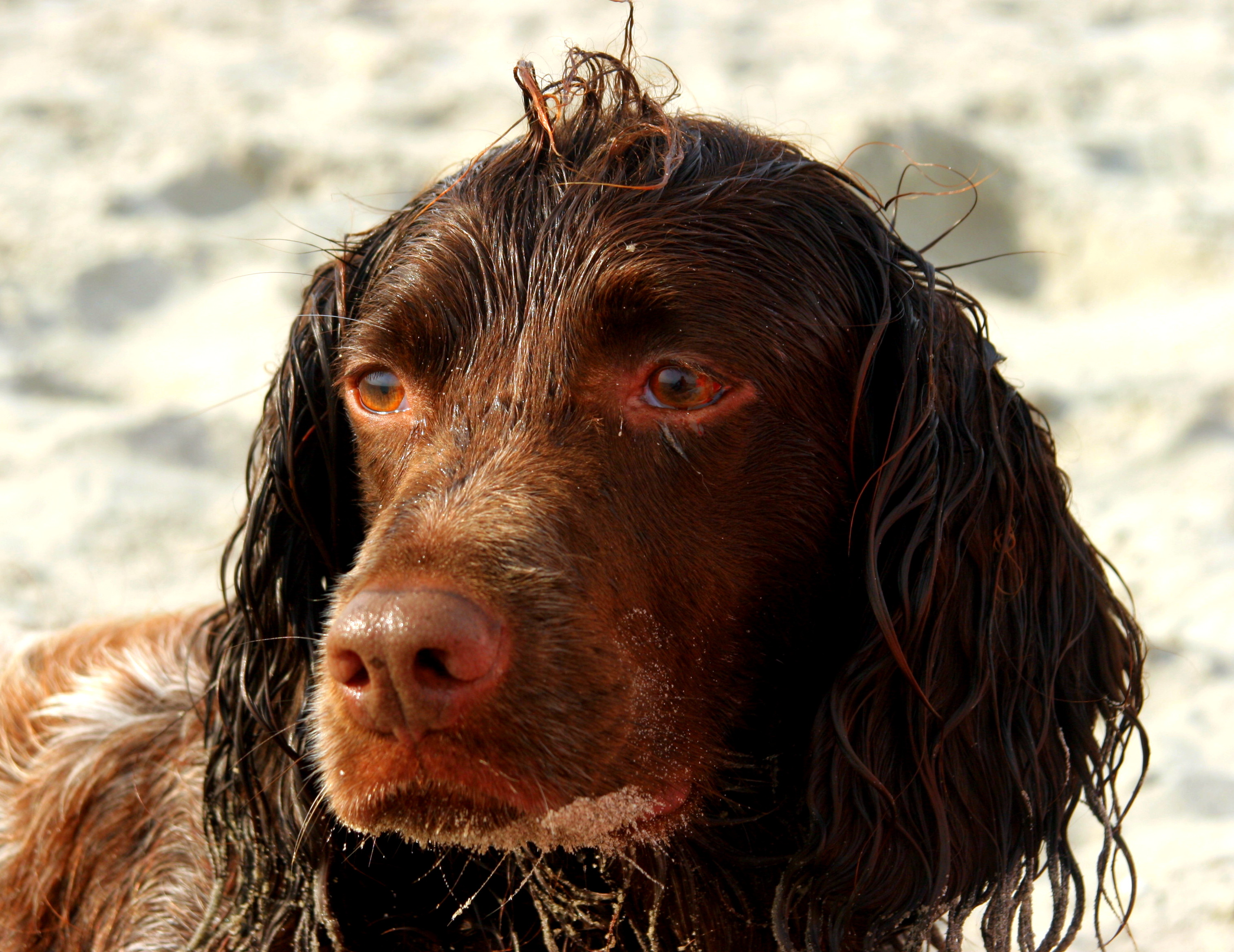 lekker-op-het-strand