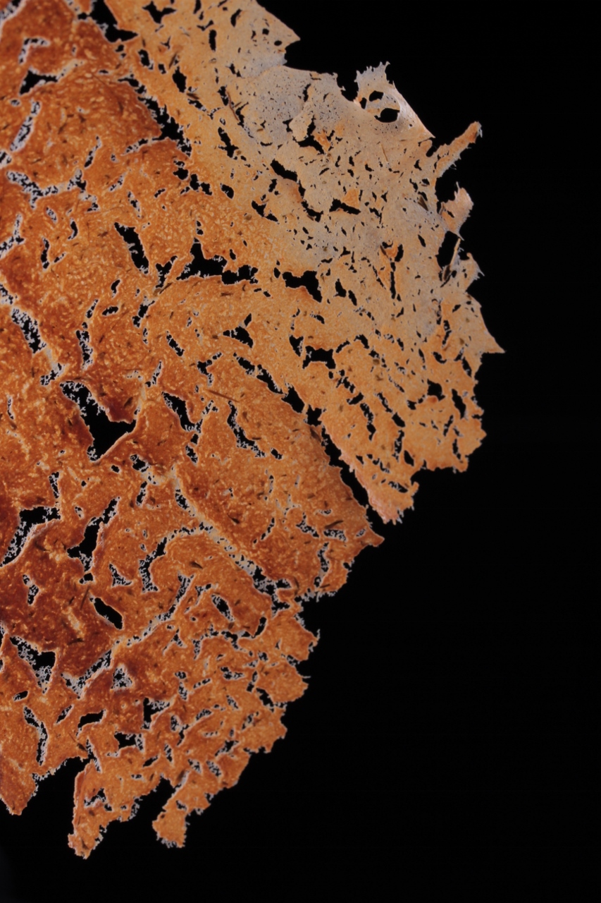 homemade-tuc-biscuit