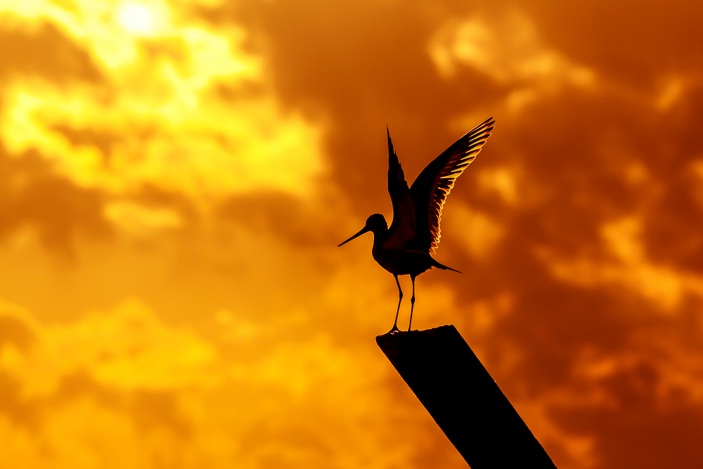 oranje-vurige-wolken