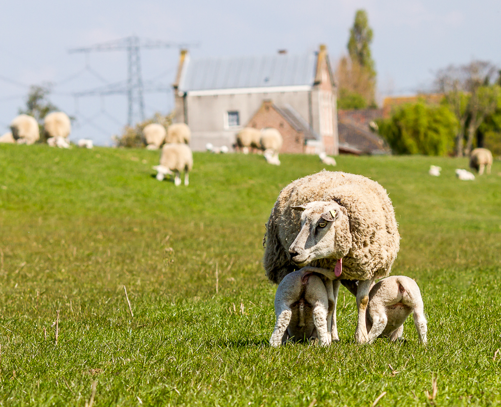 dorstig-weer-in-de-lente