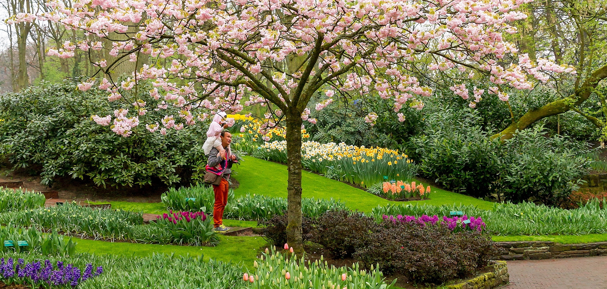 graai-naar-de-bloesem