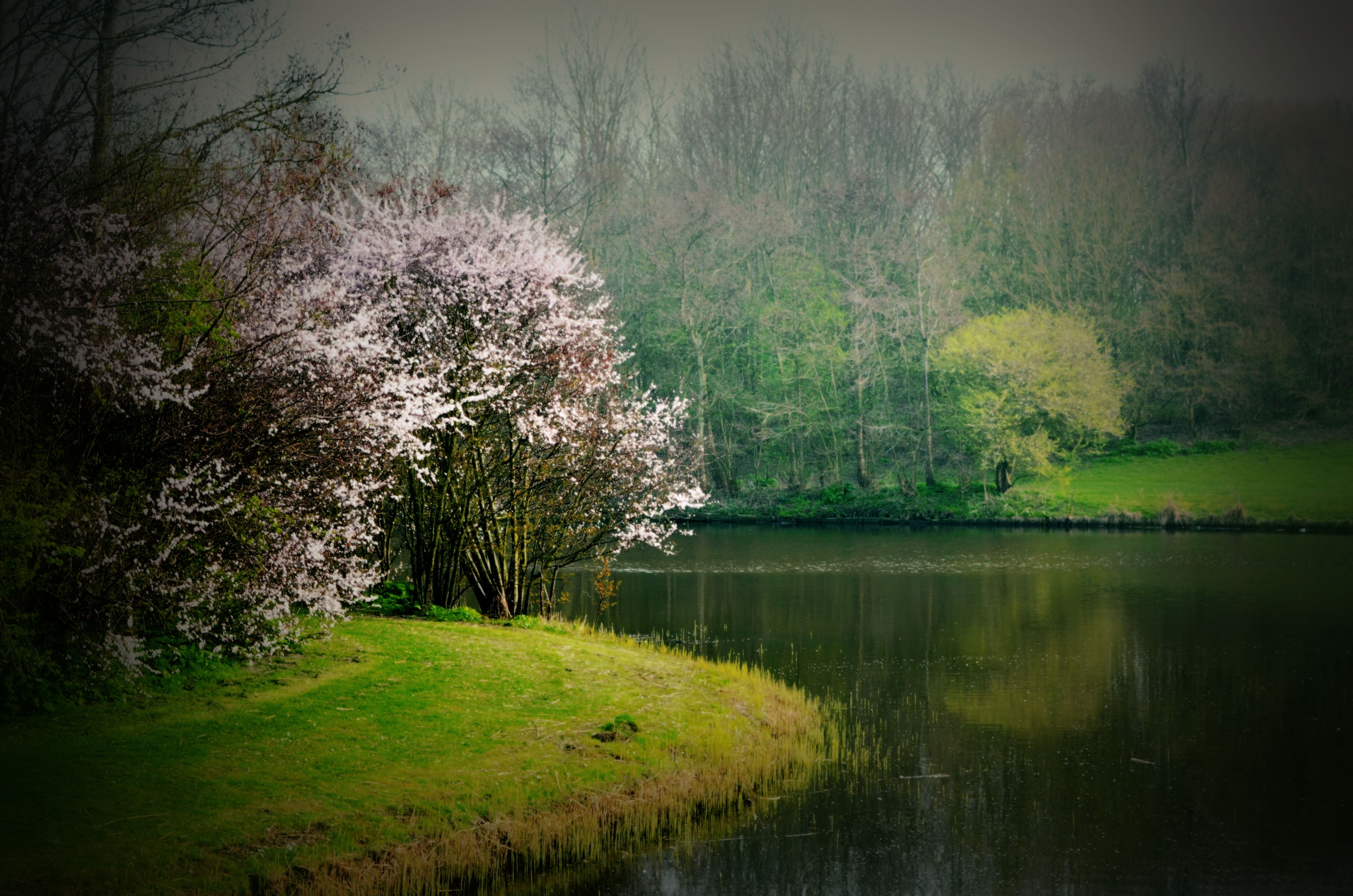 spring-is-in-the-air-6