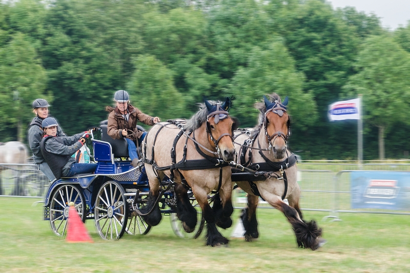 dag-van-het-zeeuwse-paard