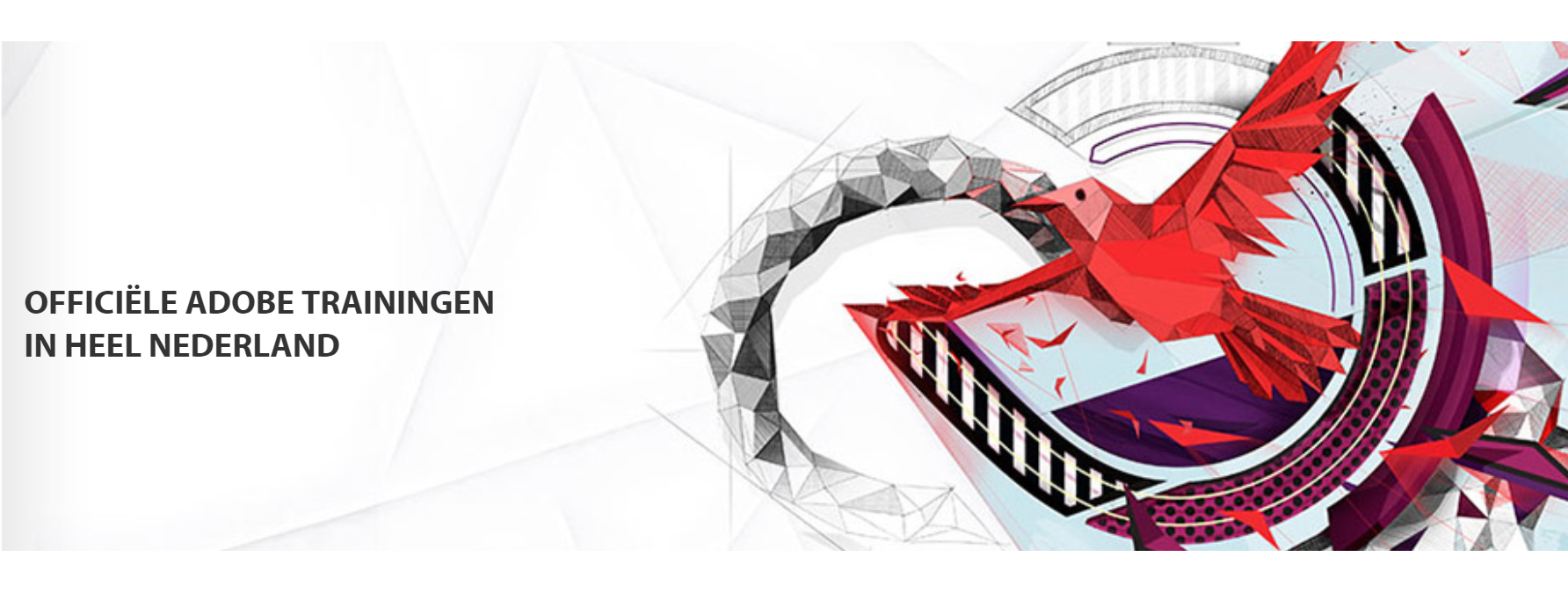 photoshop-of-lightroom-cursus-nodig-ga-naar-dwm-trainingen