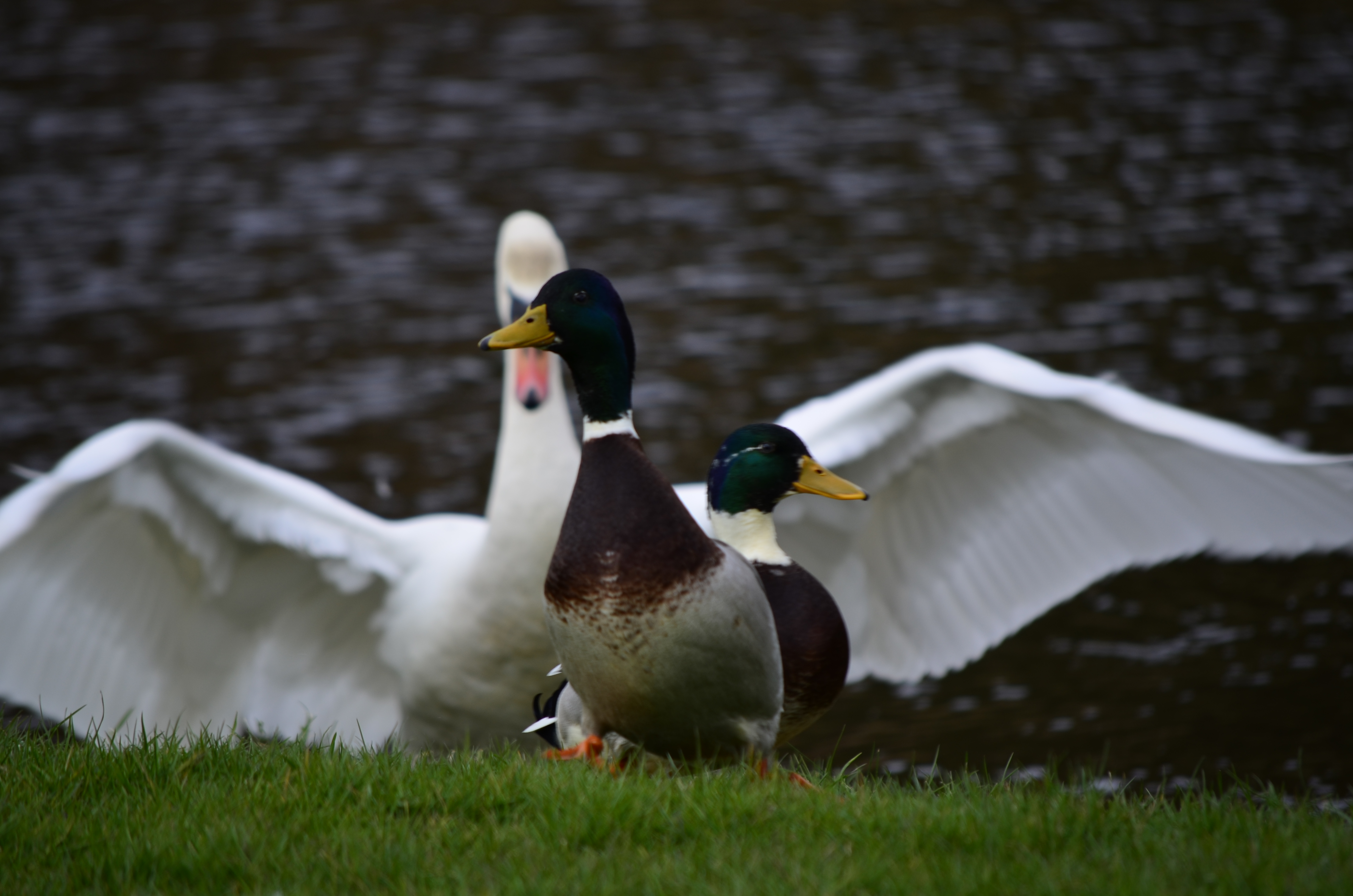 de-strijd-om-het-beste-plekje-is-begonnen