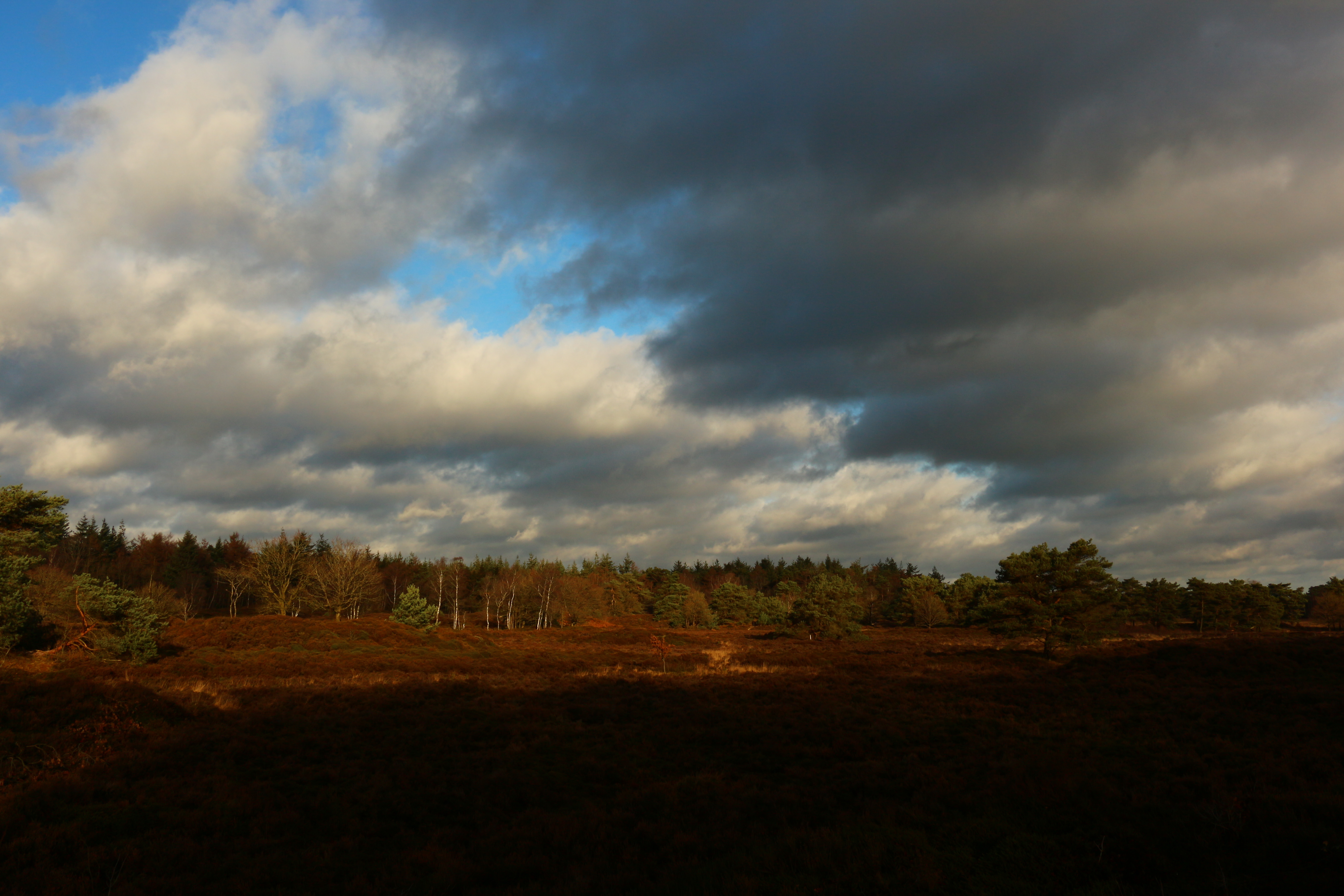 koude-winterdag-in-bakkeveen-fr
