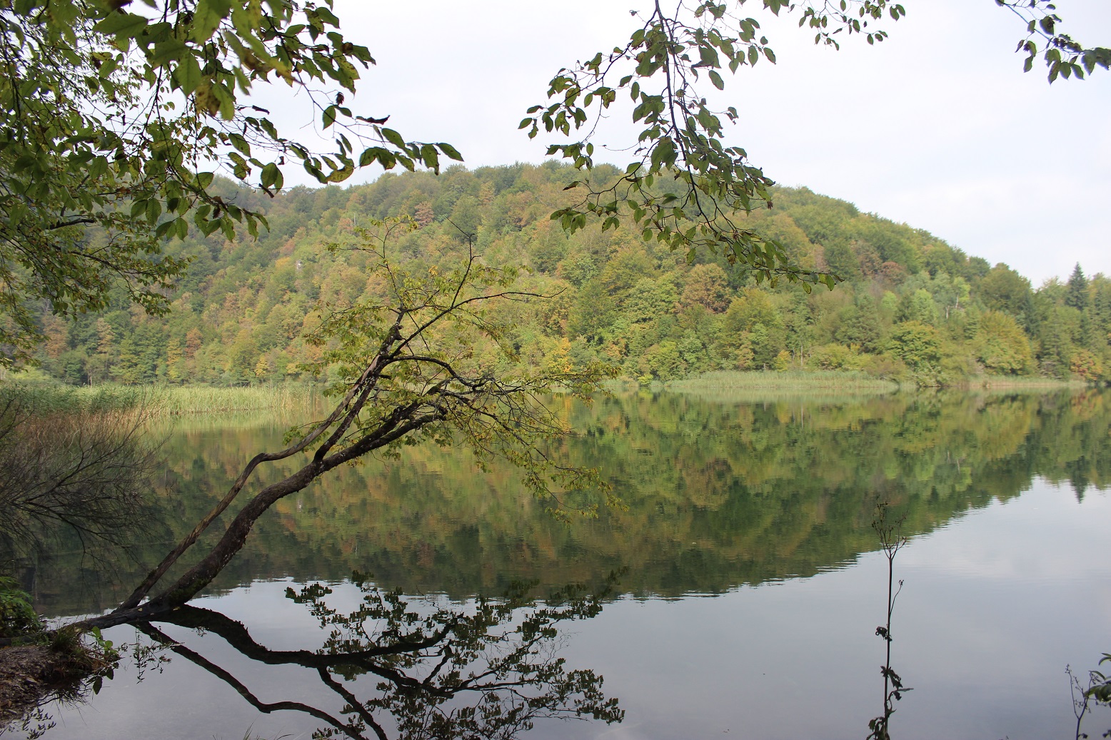 plitvice-meren-kroati%C3%AB