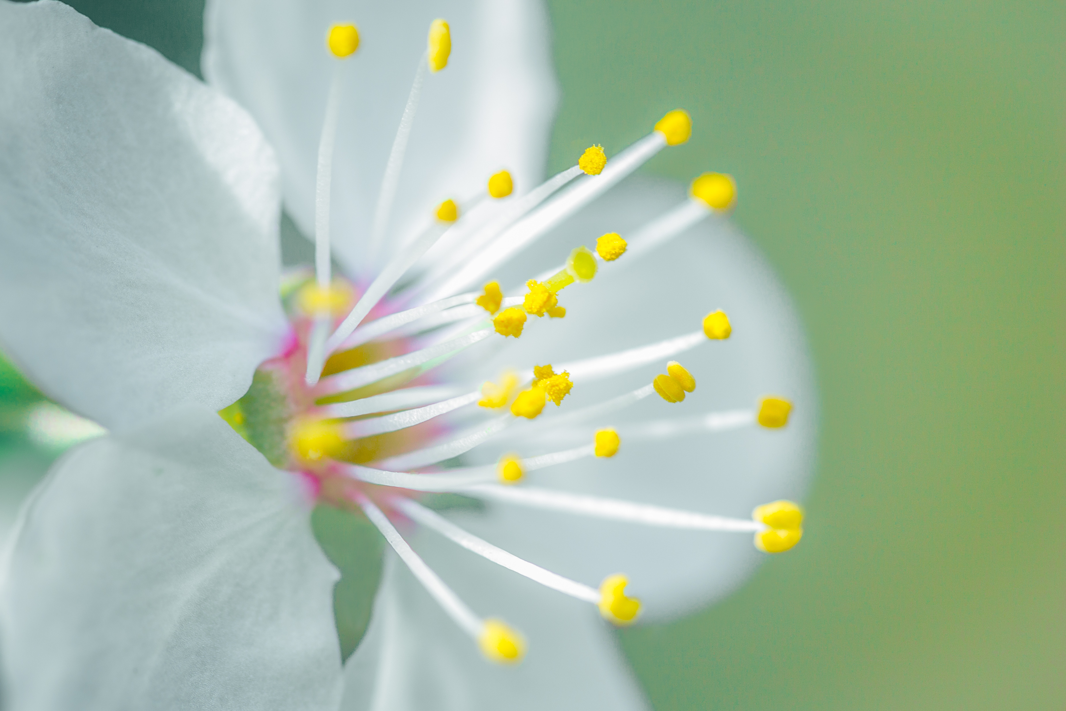 reaching-for-the-sun-1