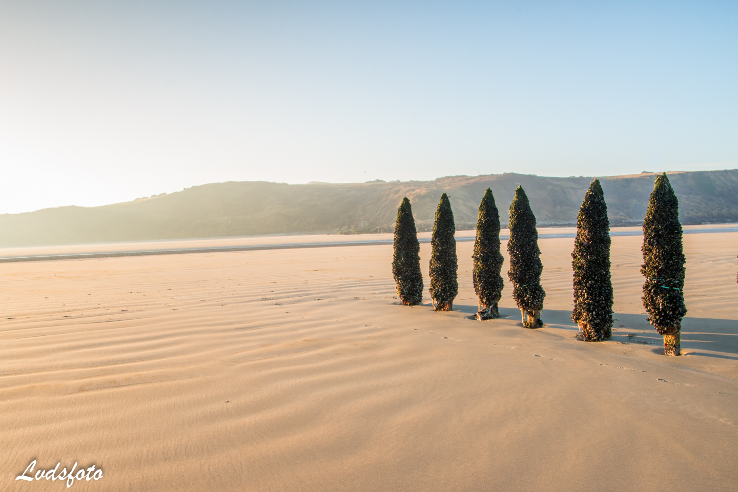 mosselpalen-aan-de-opaalkust