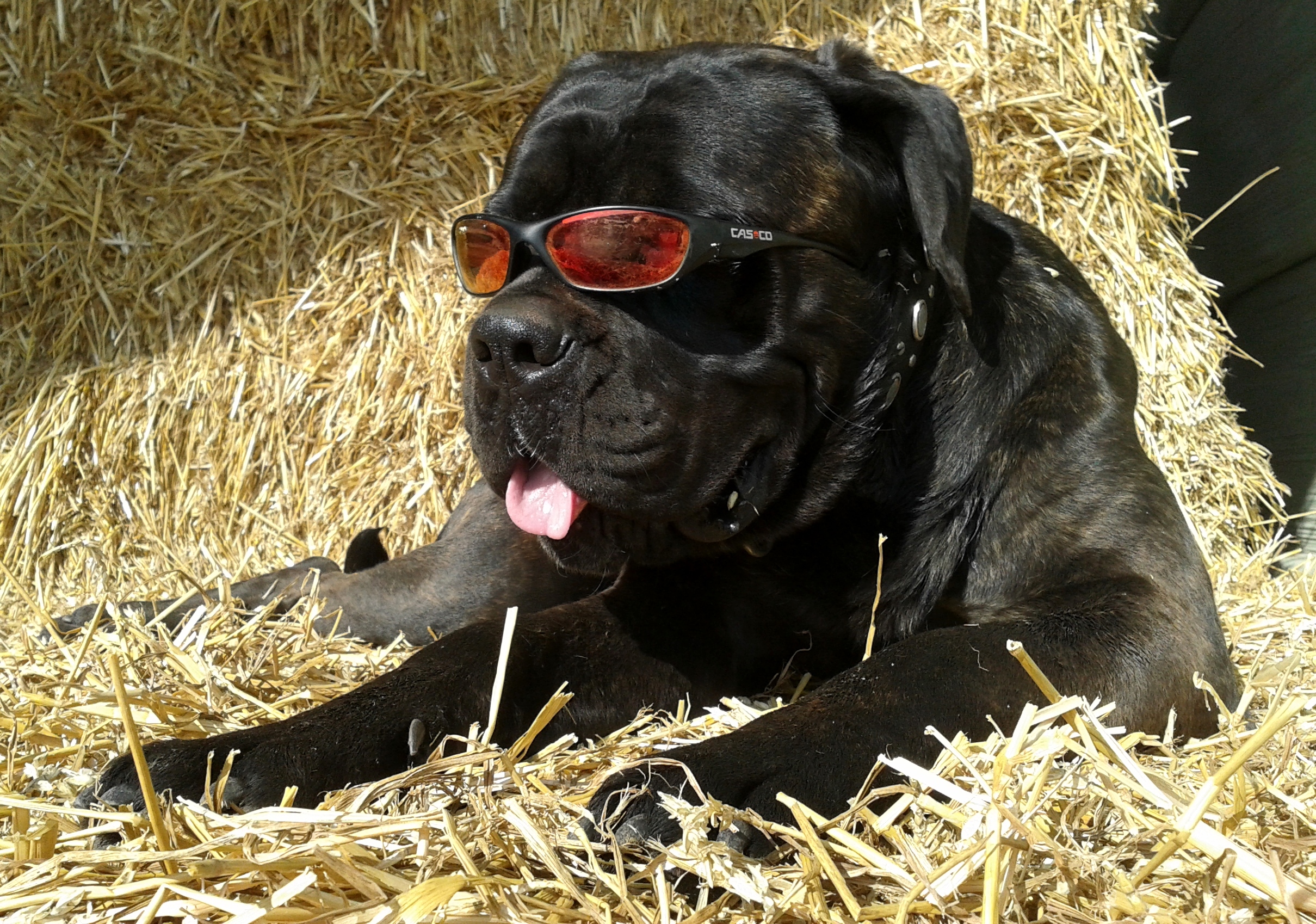 genieten-van-de-eerste-zonnestralen-1