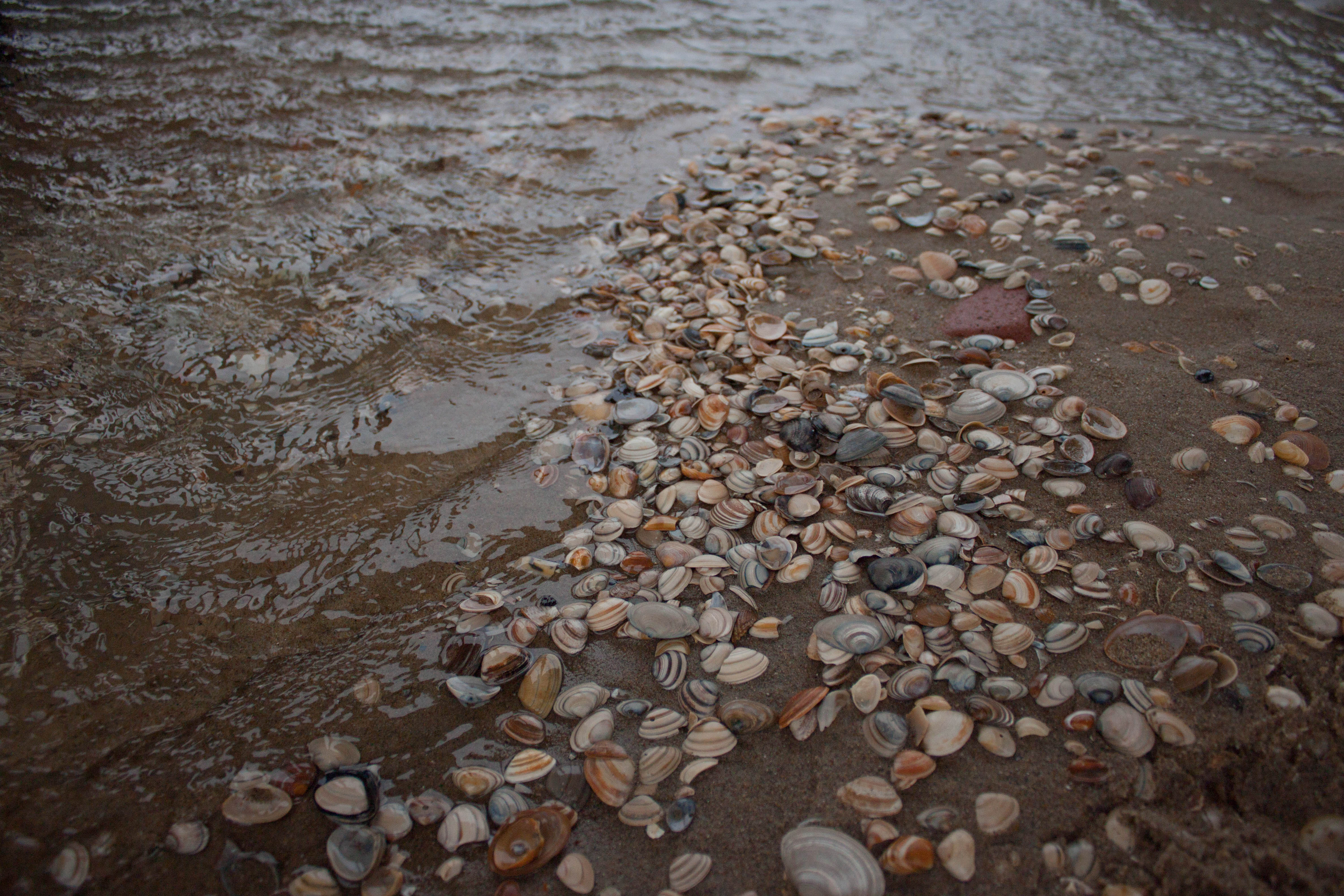 mooi-weer-tijd-voor-het-strand