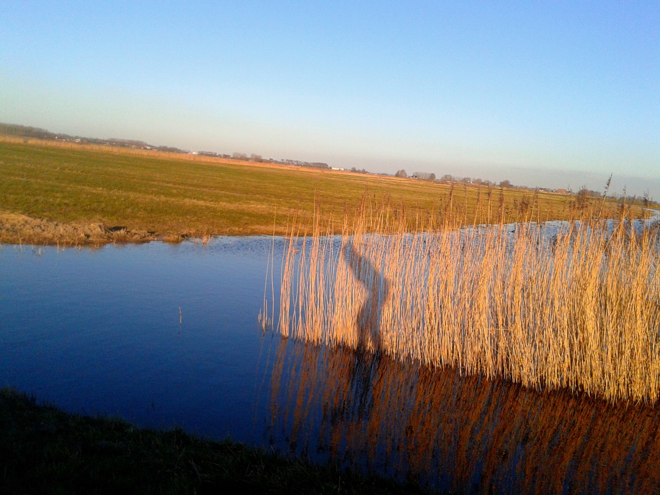 geen-elfstedentocht-dan-maar-een-rondje-skeeleren-in-friesland-0
