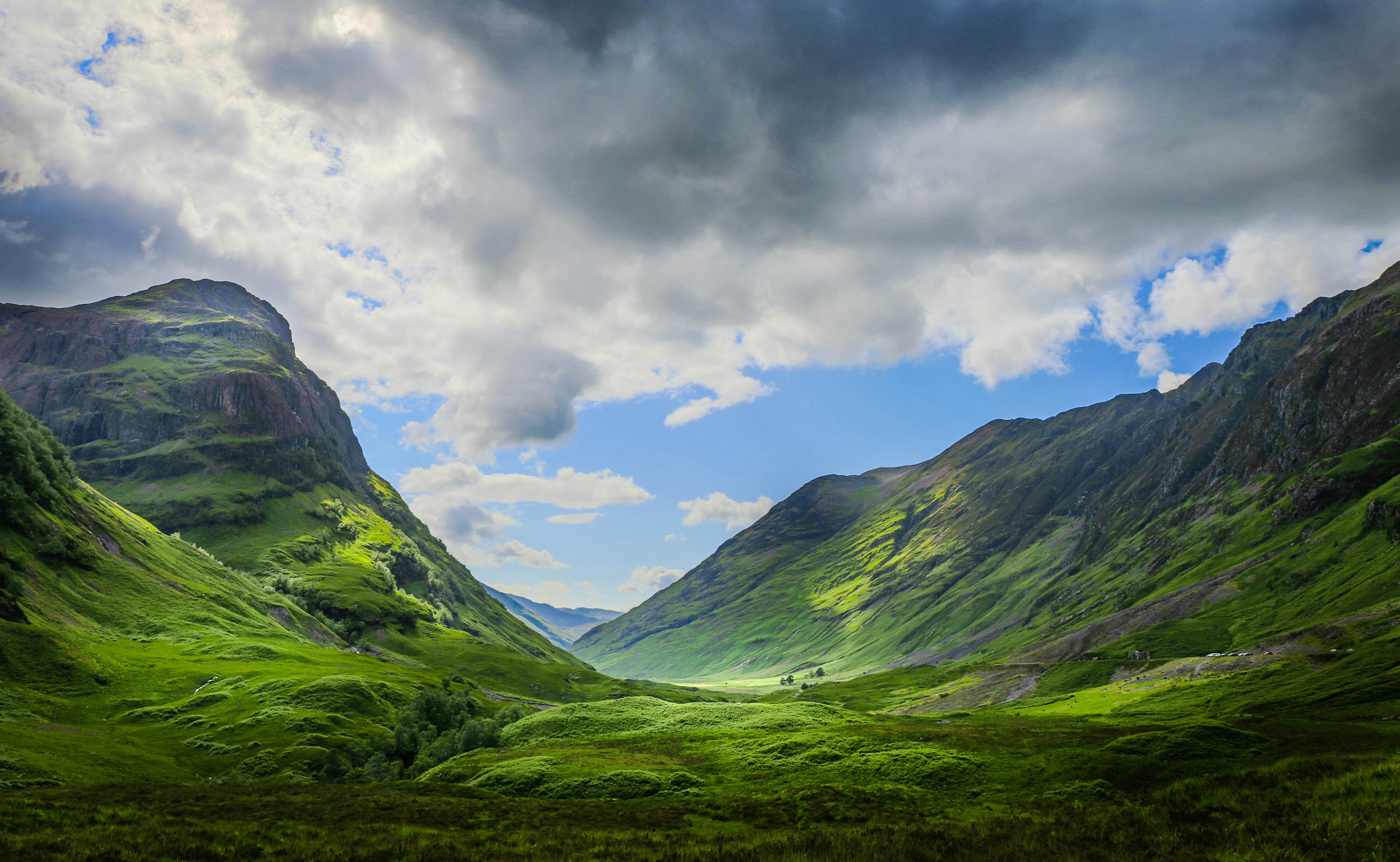 glencoe-green