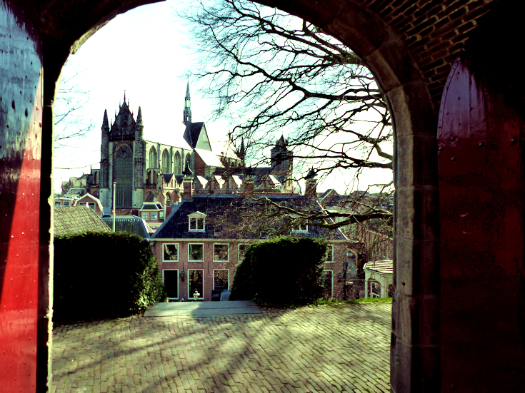 leiden-vanuit-de-burcht-gezien