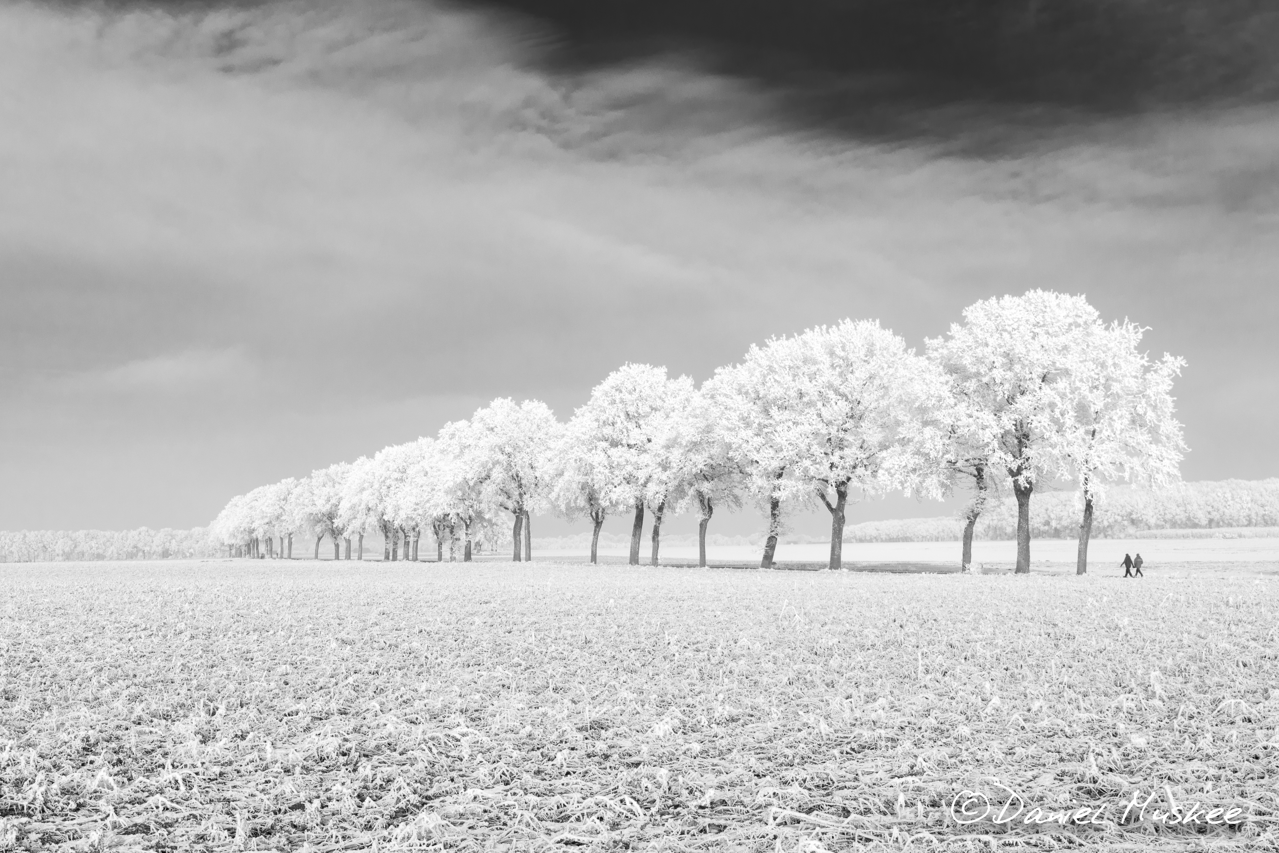 wandelaars-in-sneeuwlandschap-borger
